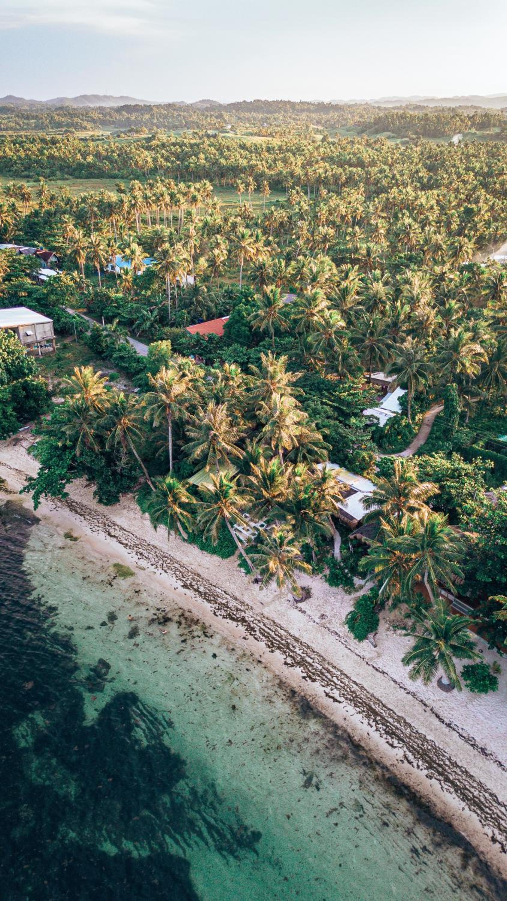 ShakaBrah's beachfront cottage