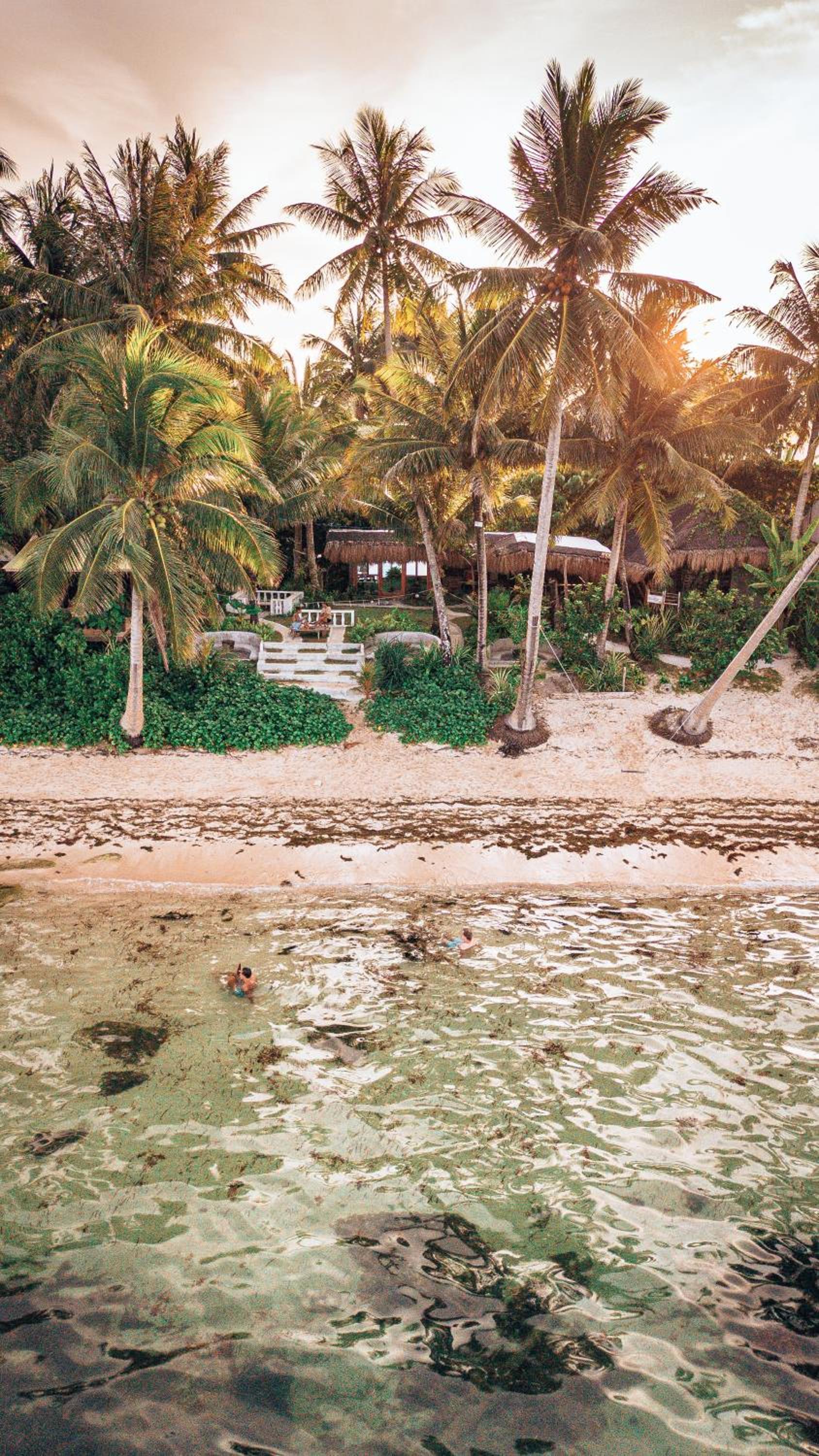ShakaBrah's beachfront cottage