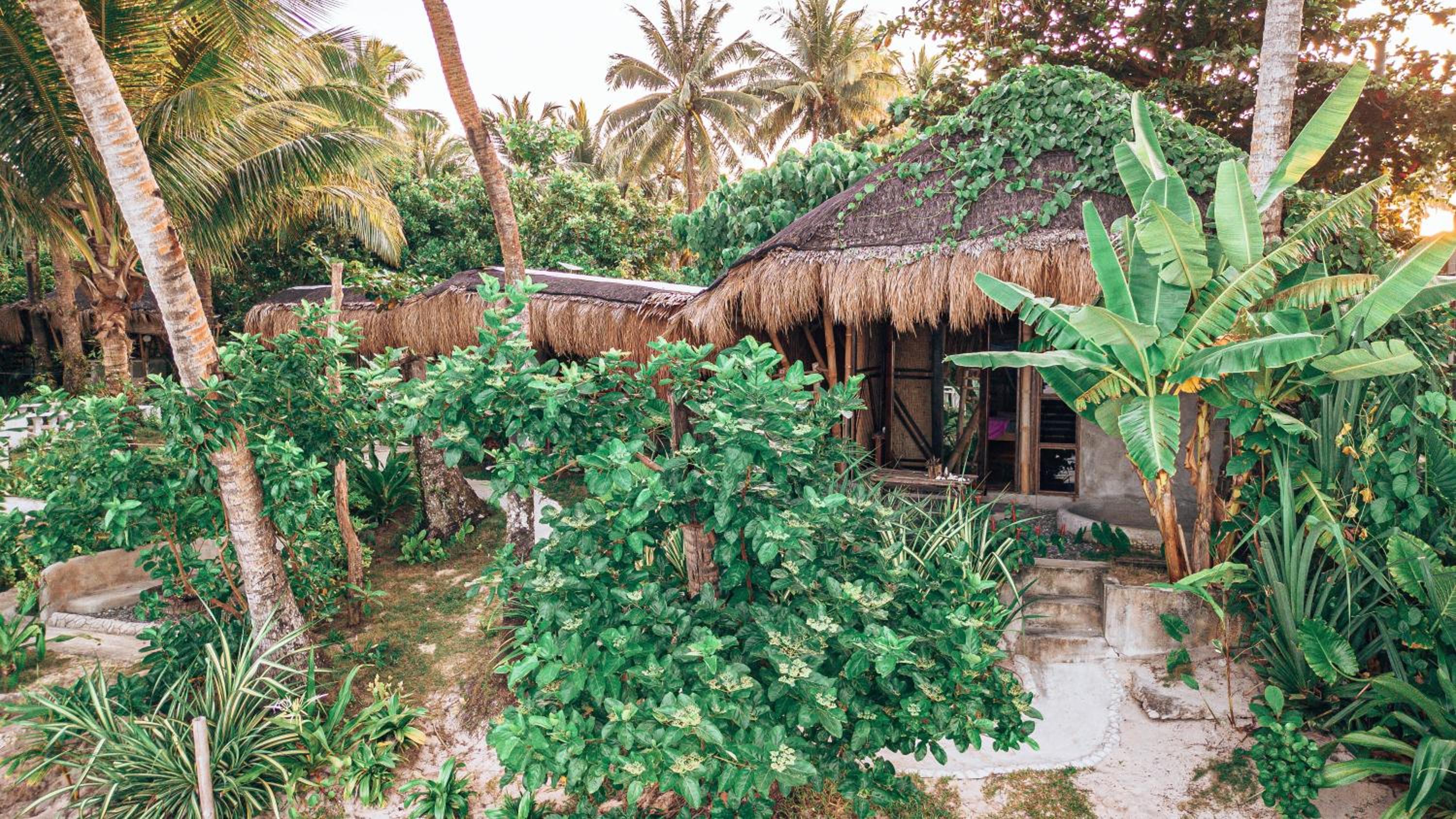 ShakaBrah's beachfront cottage