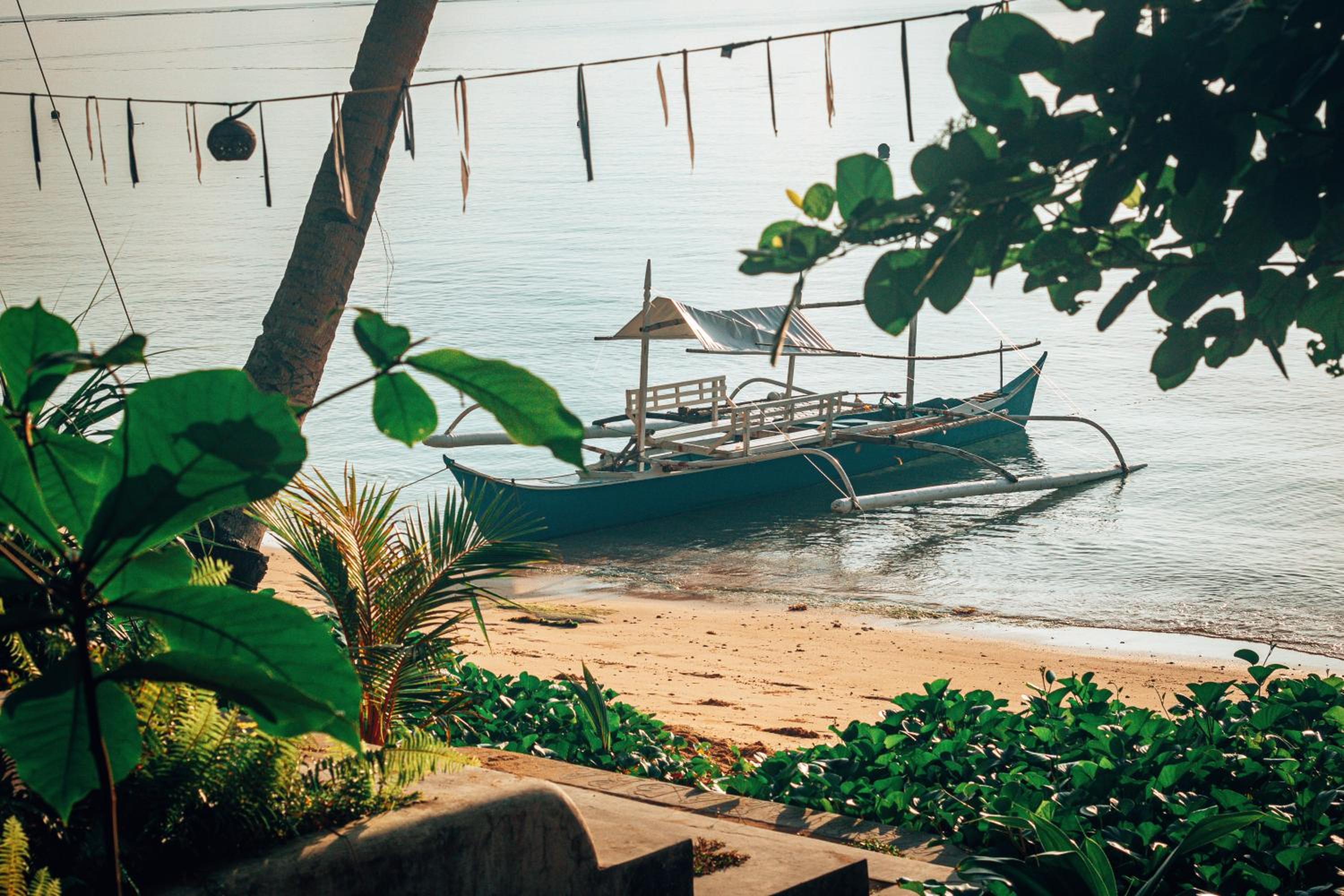 ShakaBrah's beachfront cottage