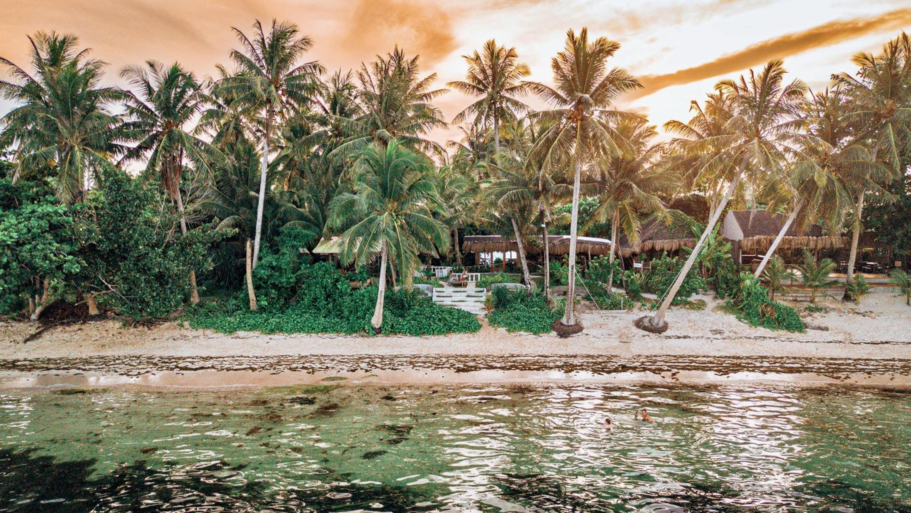 ShakaBrah's beachfront cottage