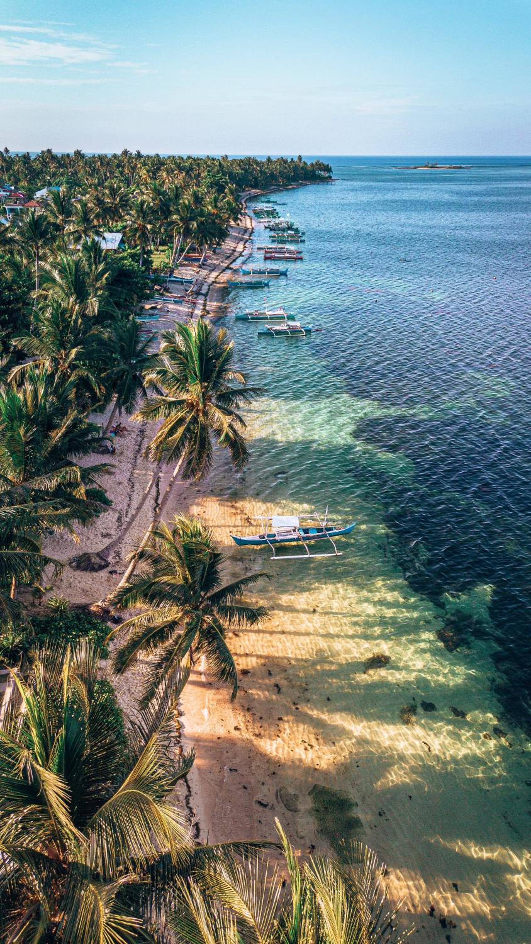 ShakaBrah's beachfront cottage