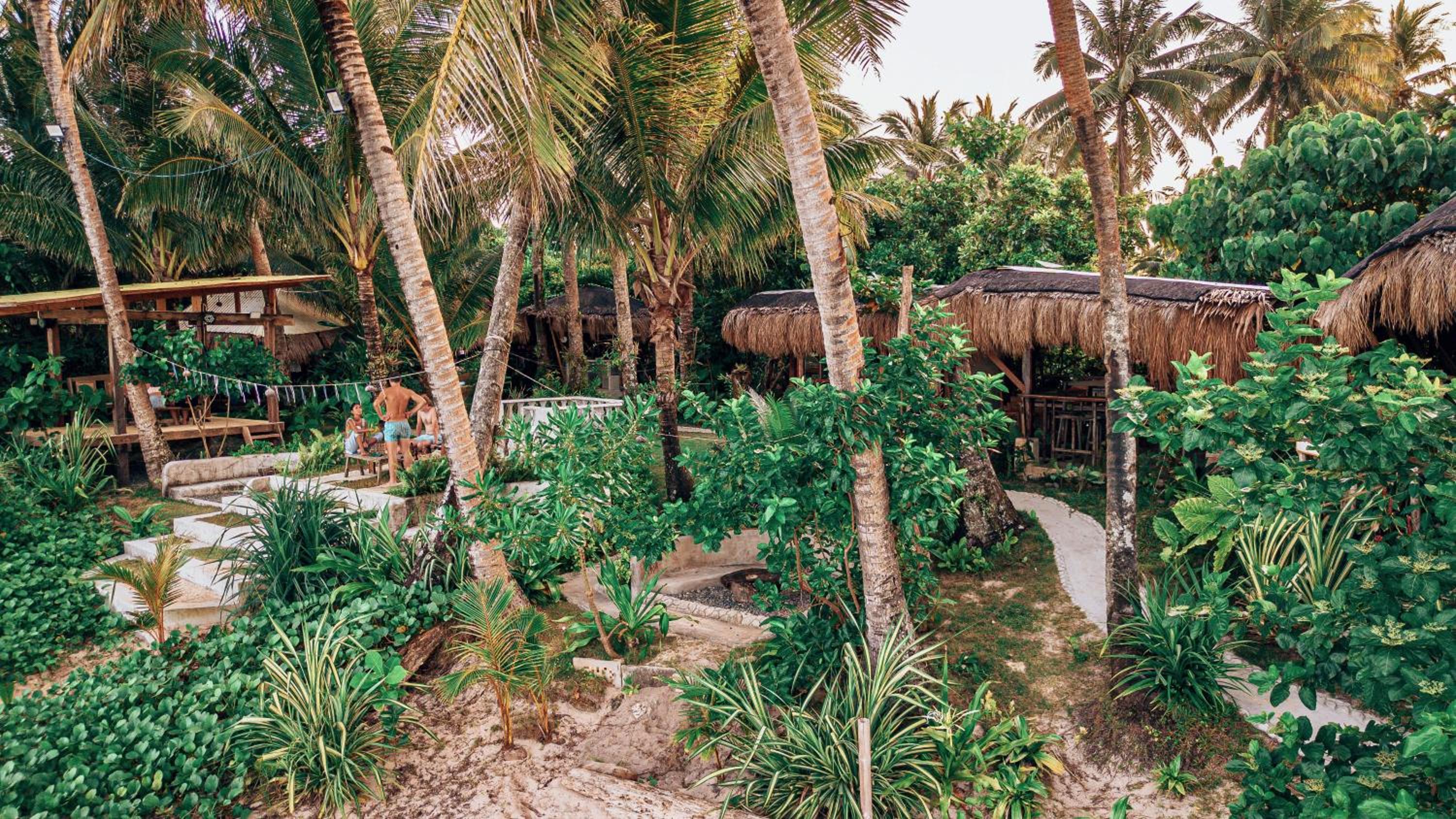 ShakaBrah's beachfront cottage