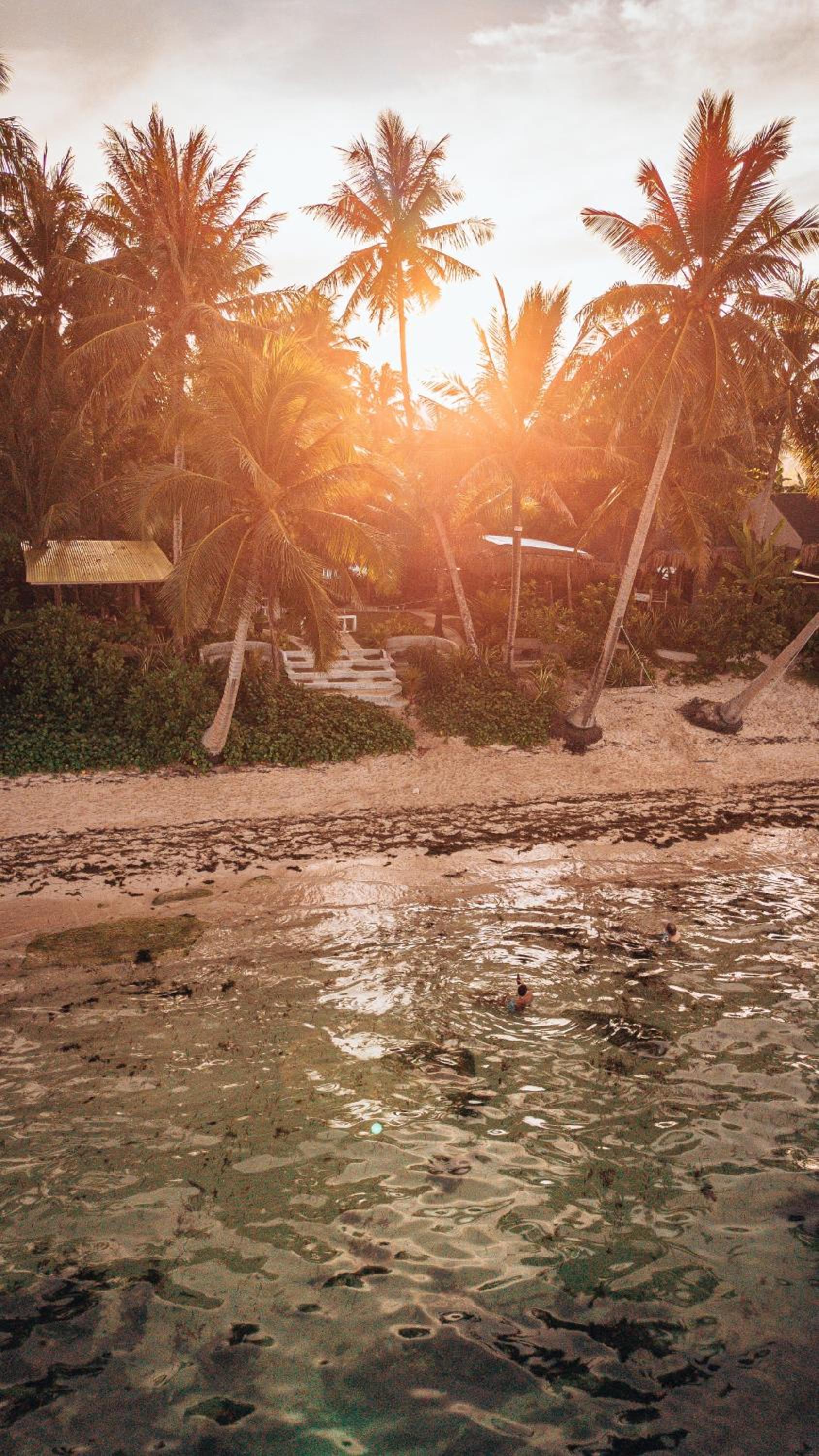 ShakaBrah's beachfront cottage