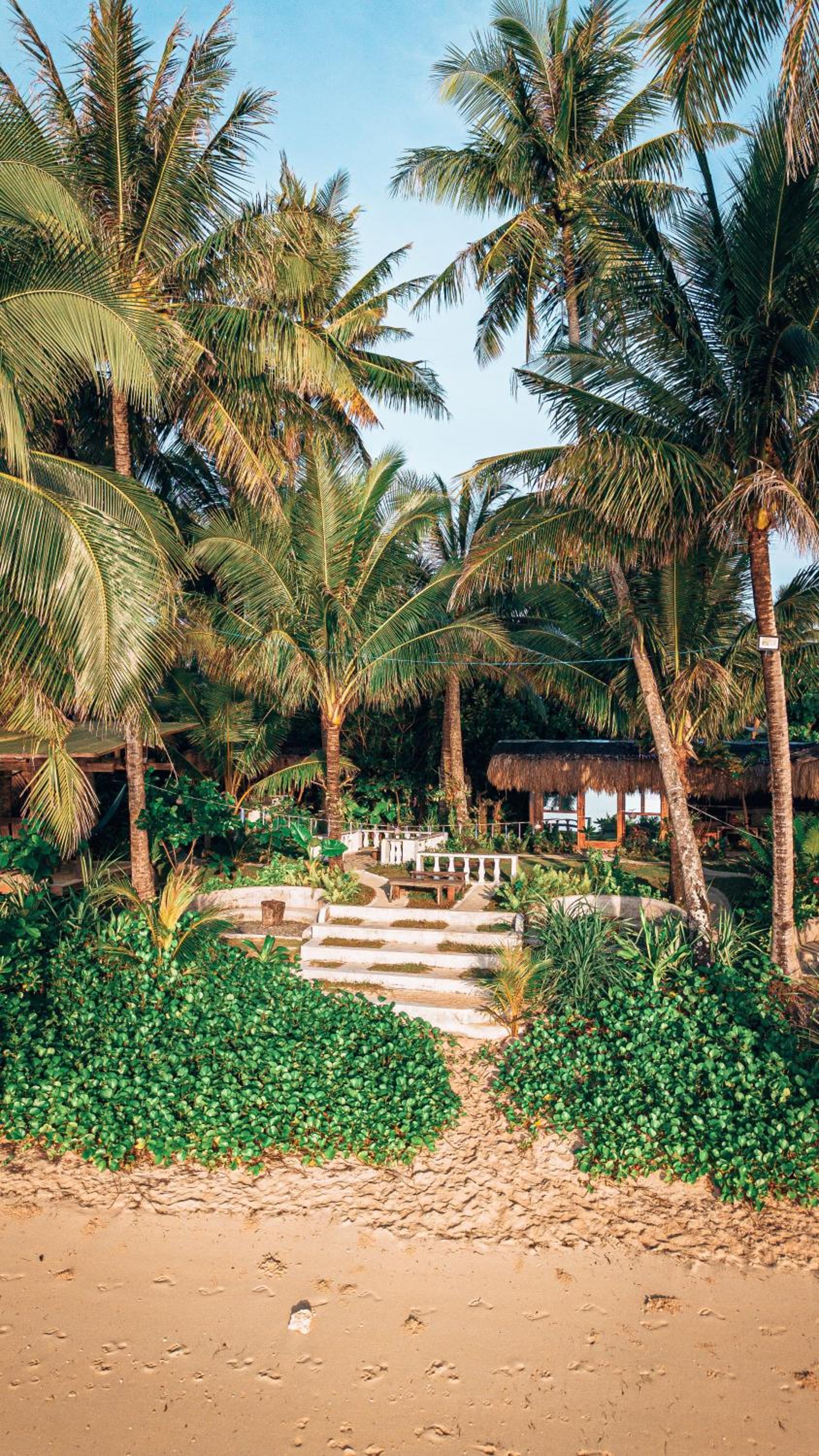 ShakaBrah's beachfront cottage