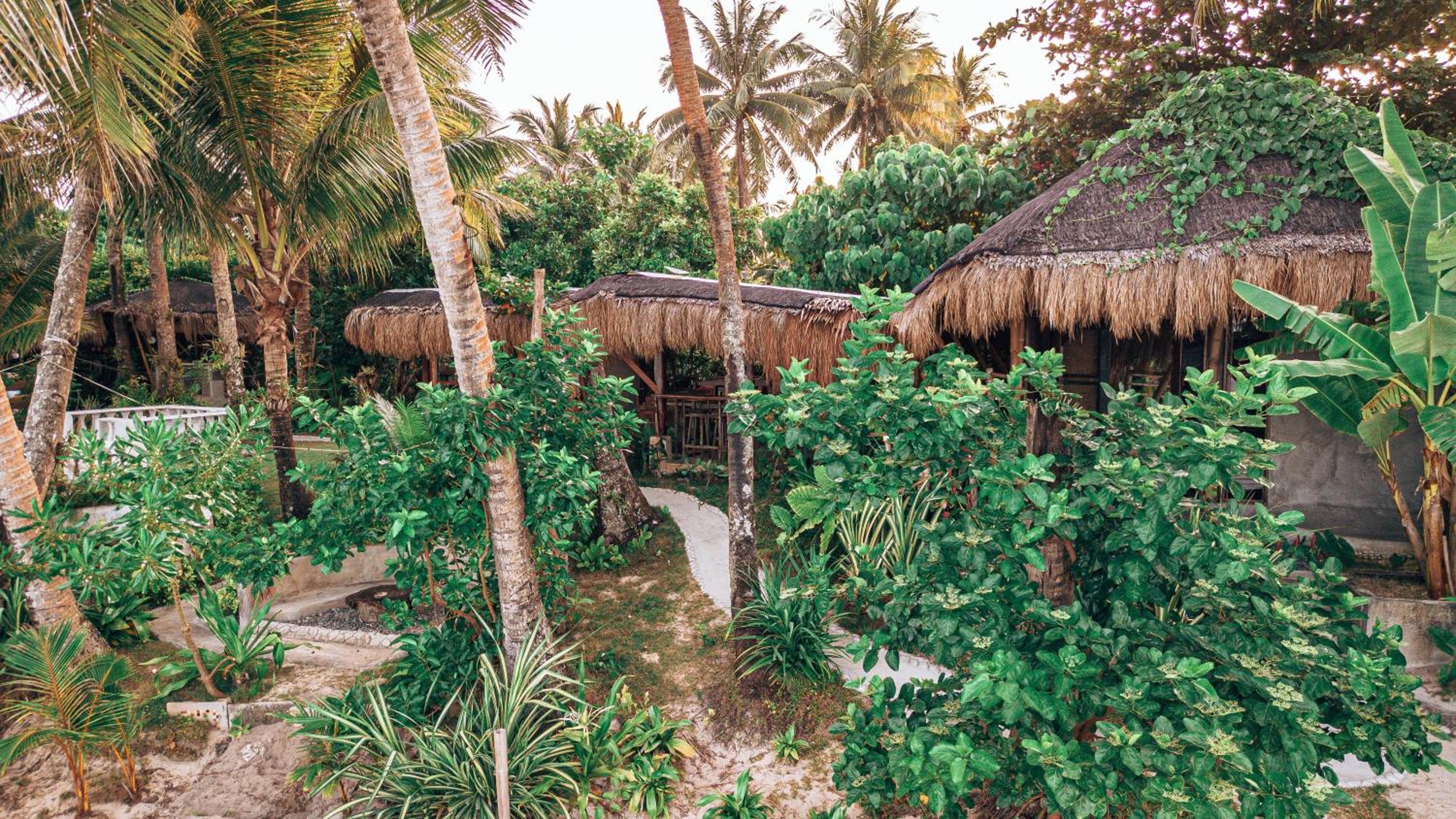 ShakaBrah's beachfront cottage