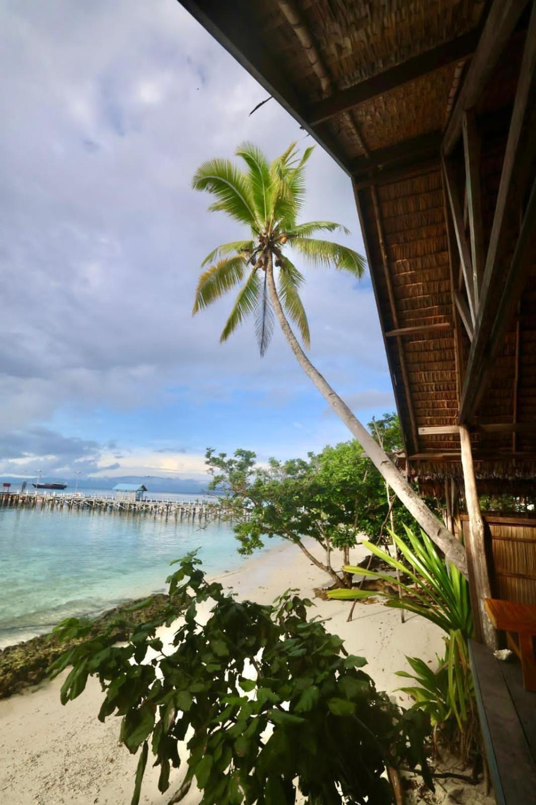 Single Room Bruno Homestay Raja Ampat view 4