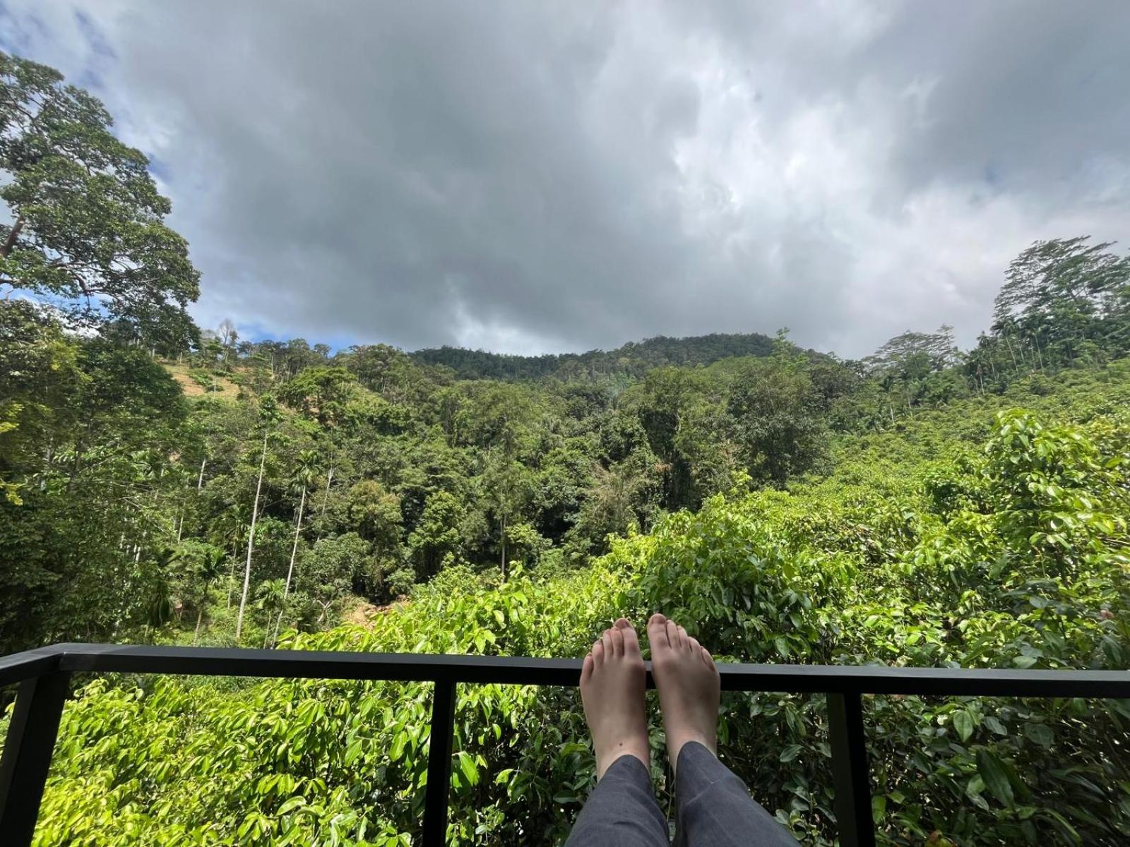 Cannelle Hill Cabanas