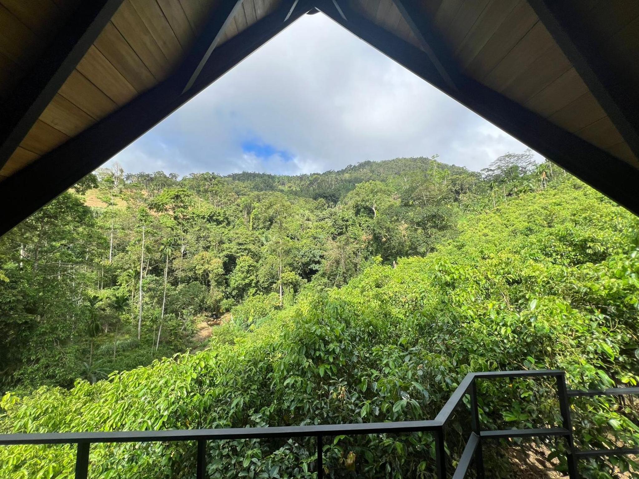 Cannelle Hill Cabanas