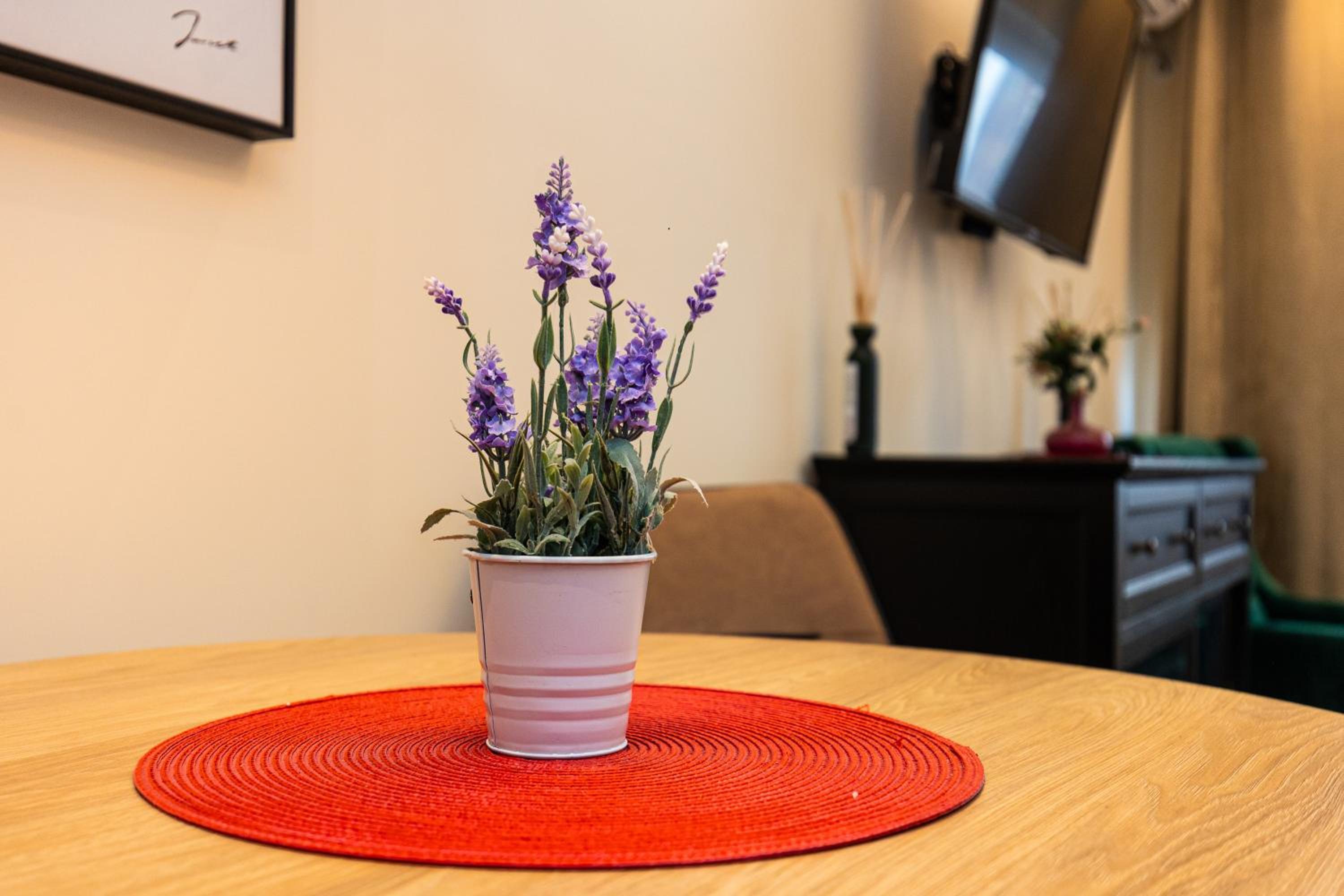 Apartment Mignon