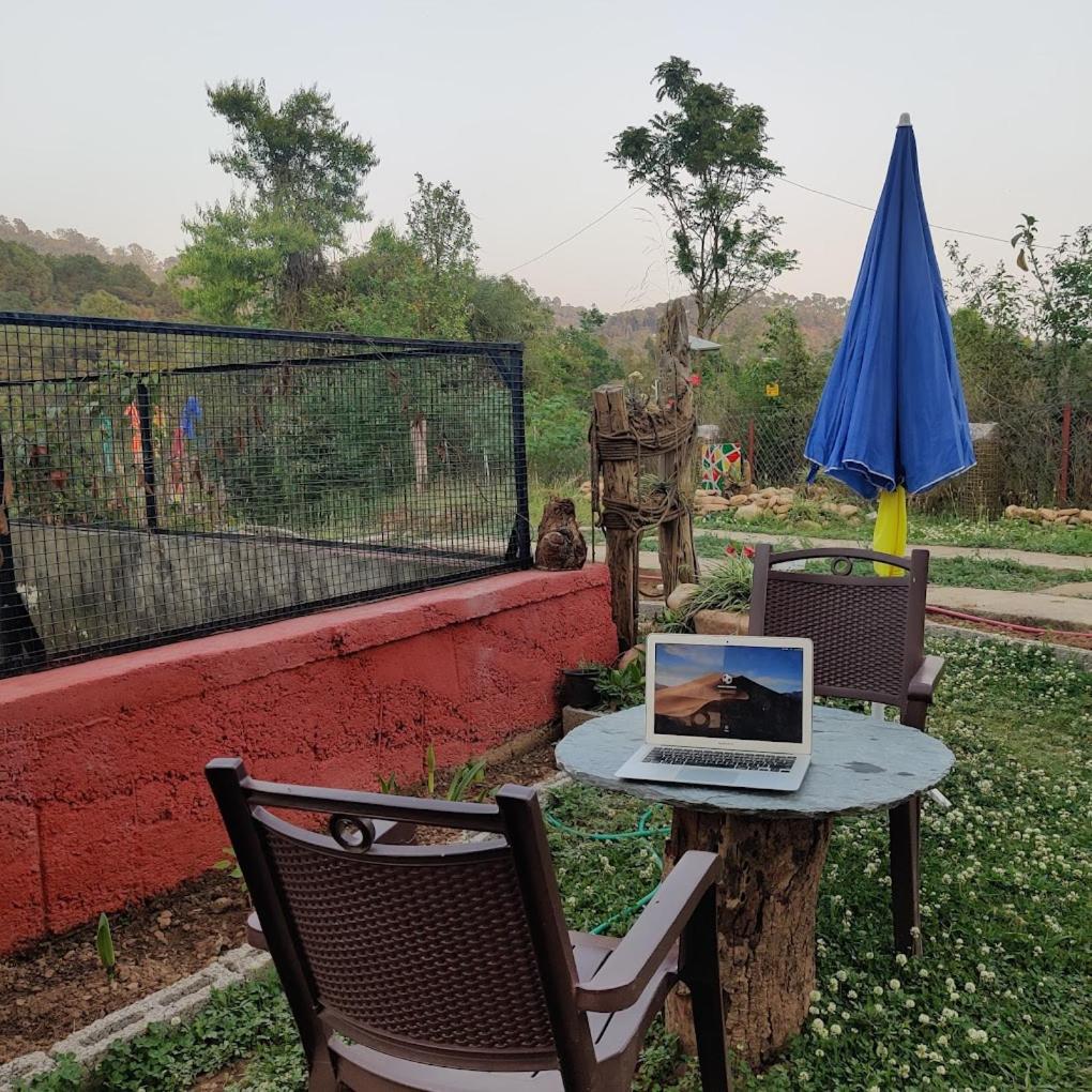 The Nest Farmstay view 2
