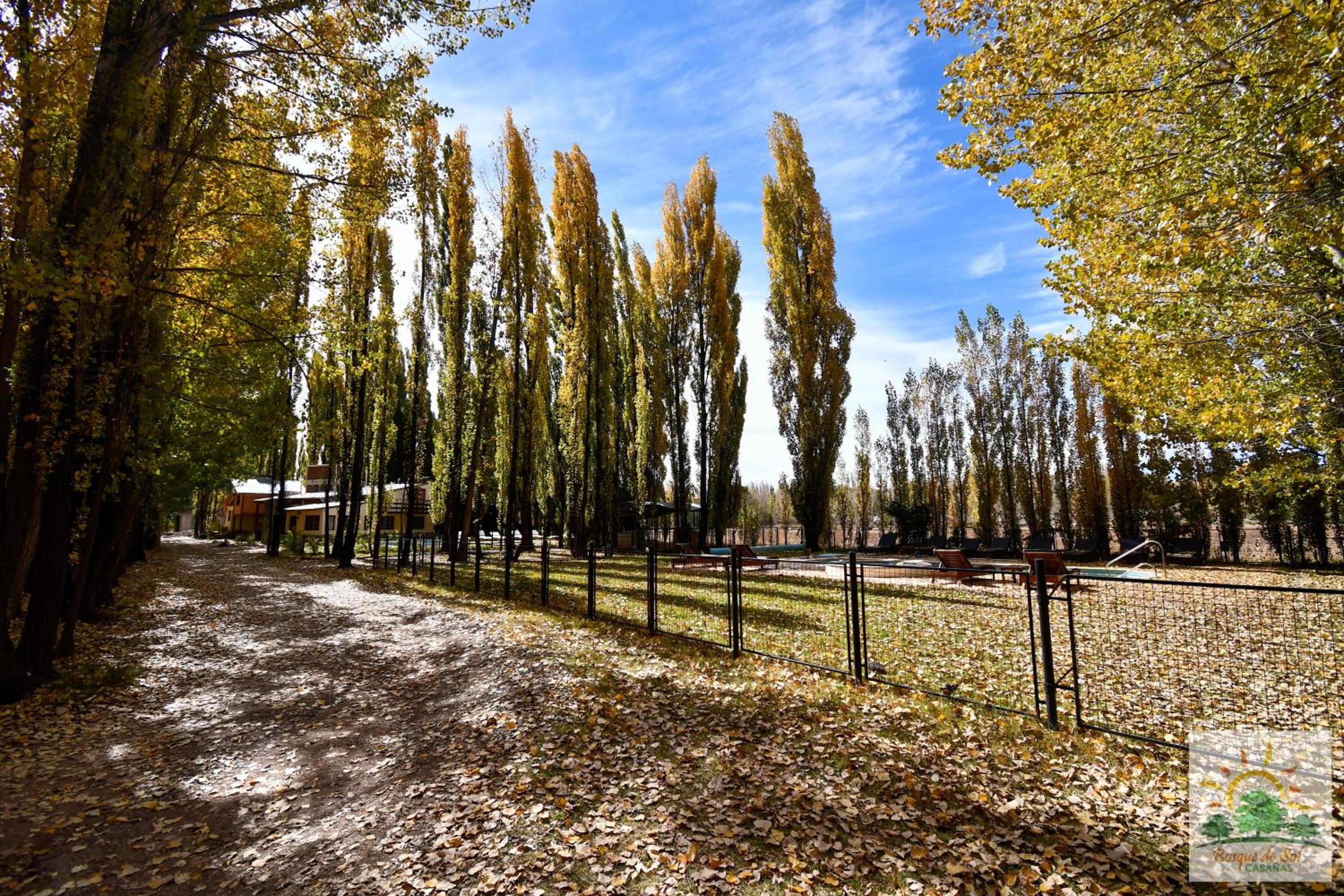 Bosque de Sol cabaña 1
