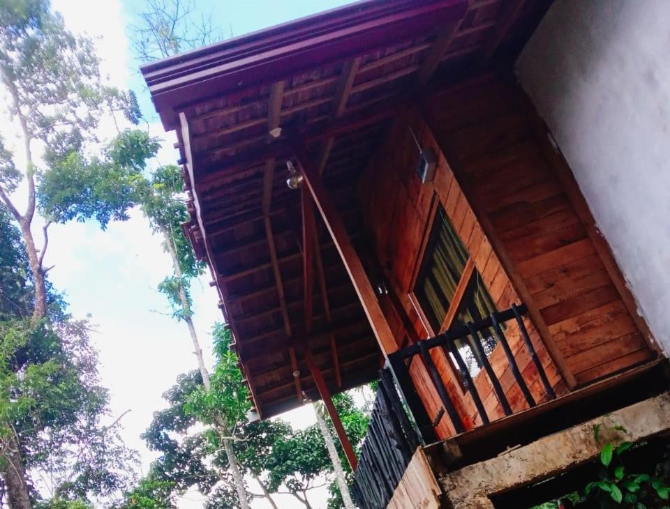Woodland Hideaway in Sinharaja