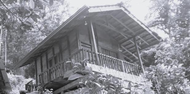 Woodland Hideaway in Sinharaja