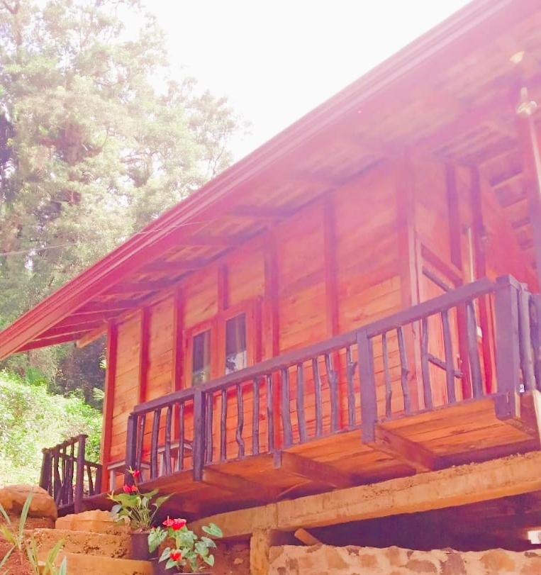 Woodland Hideaway in Sinharaja
