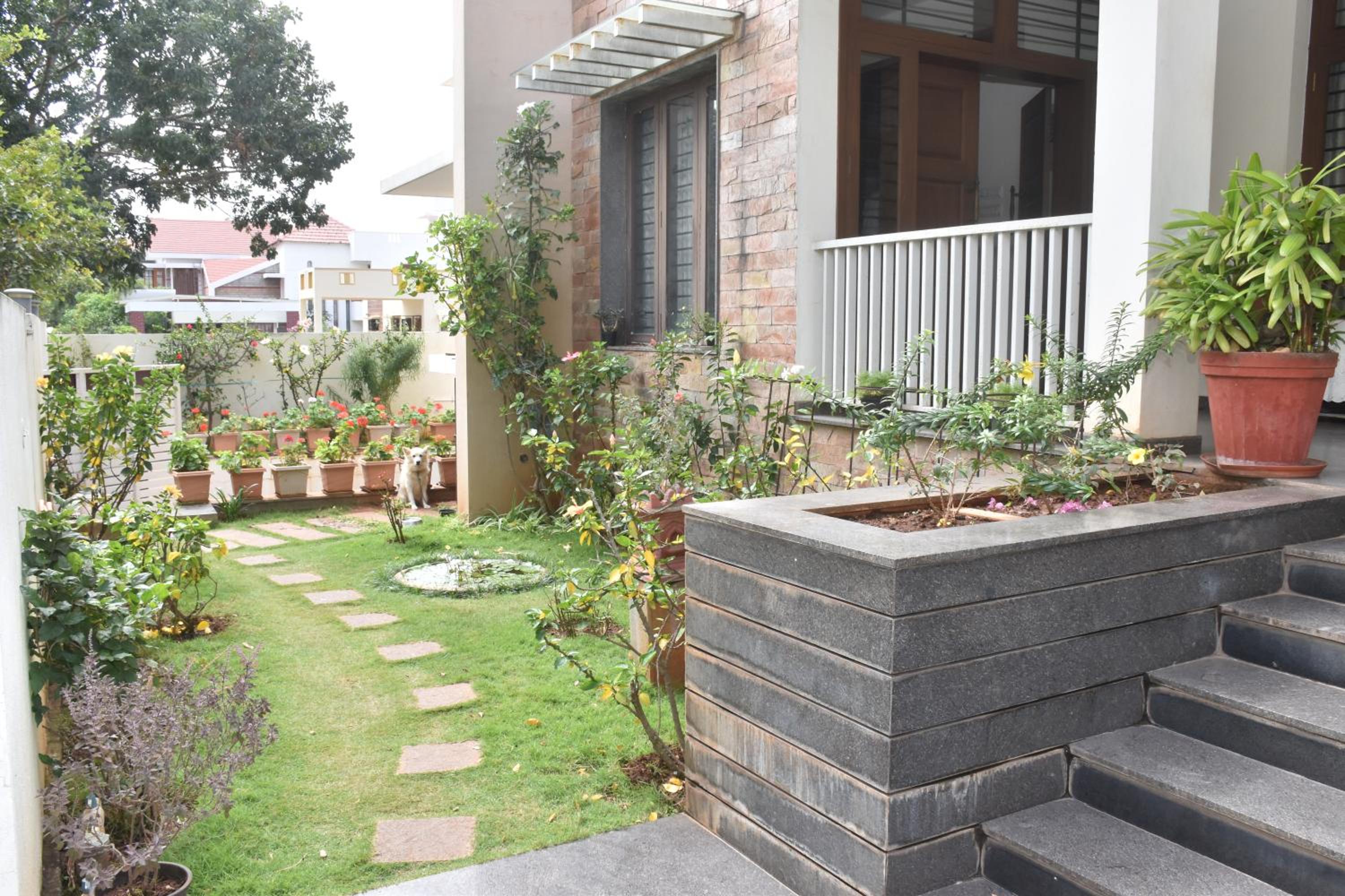 Photo 6