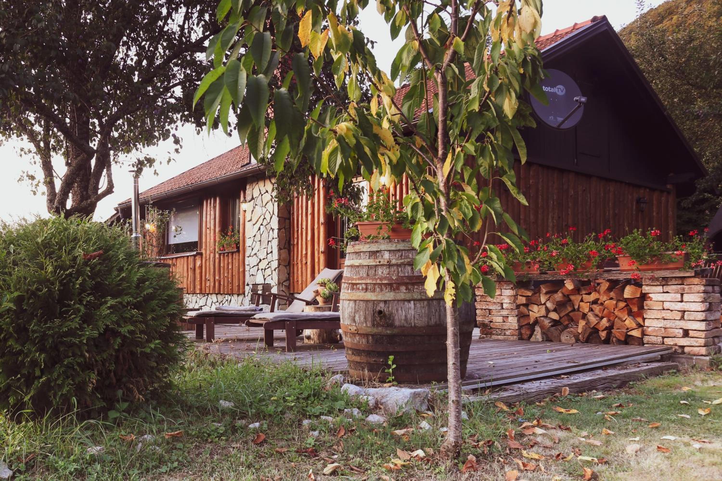 Photo 6