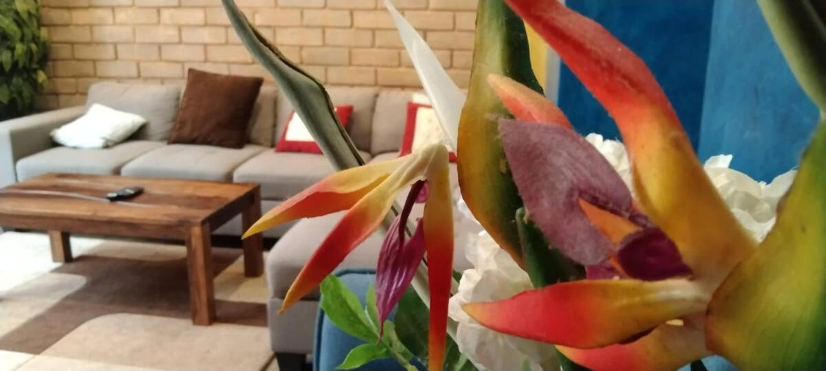 Comfy 4BHK Villa Only For Families view 3