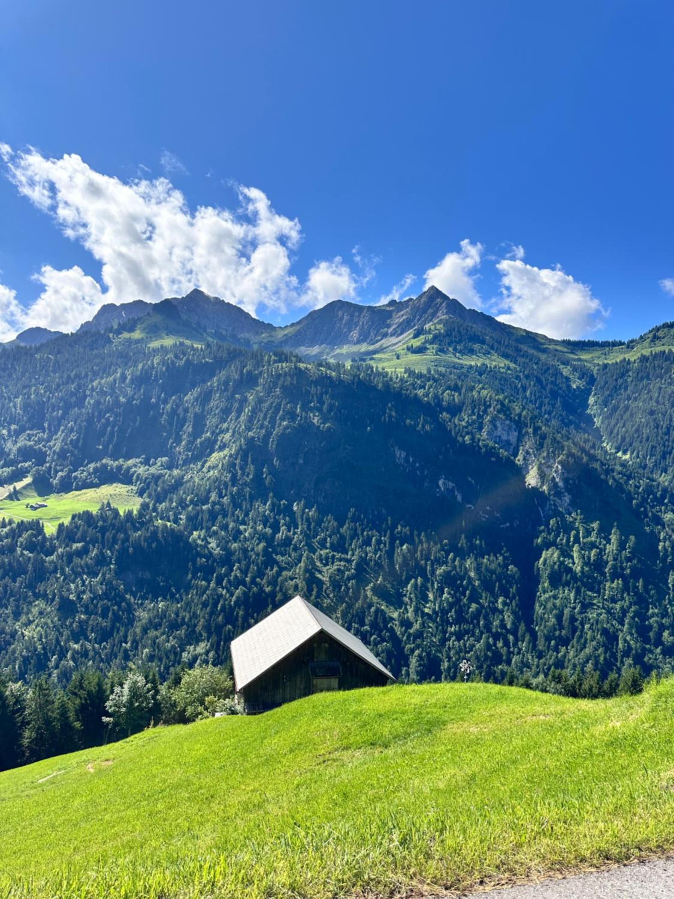 Chalet Urban