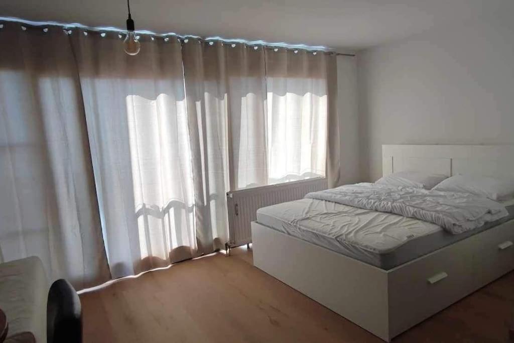 Studio sur la digue
