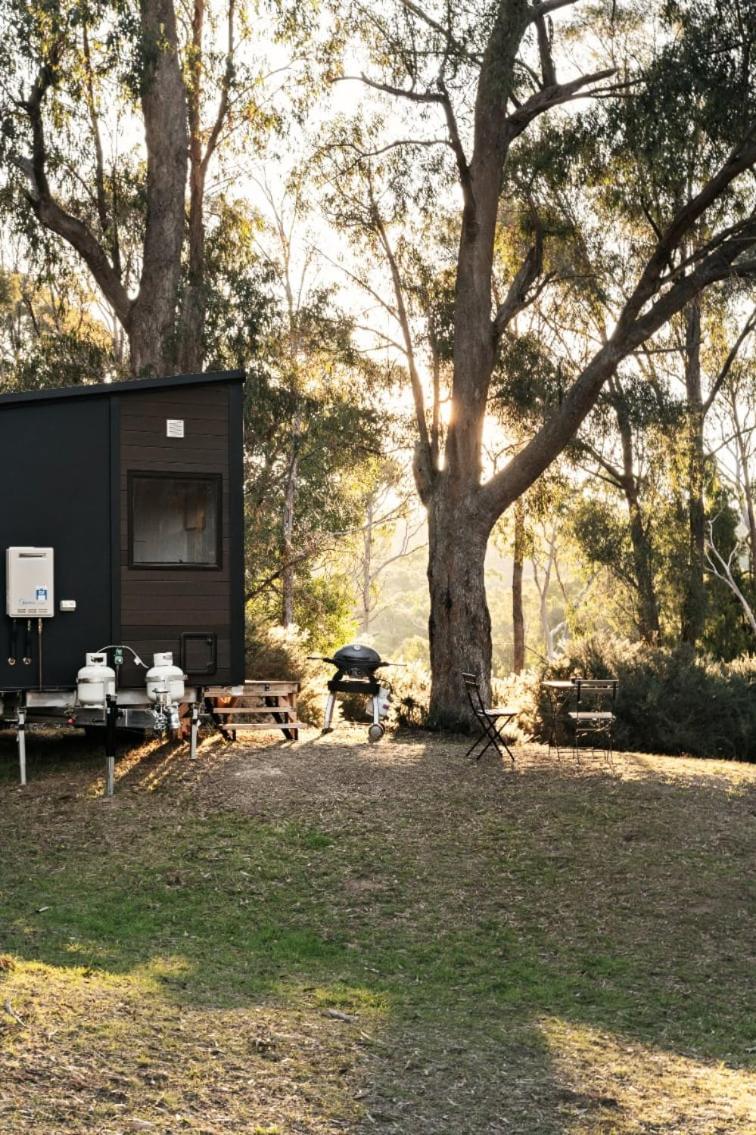 Longmore Estate by Tiny Away