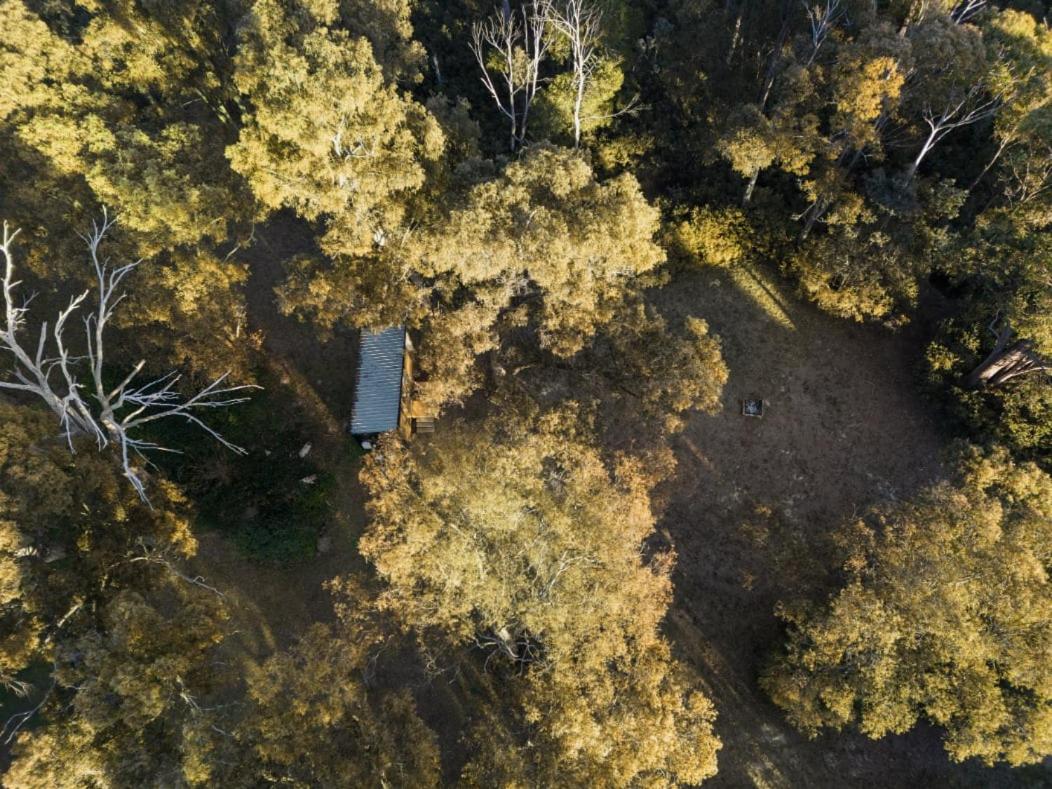 Longmore Estate by Tiny Away