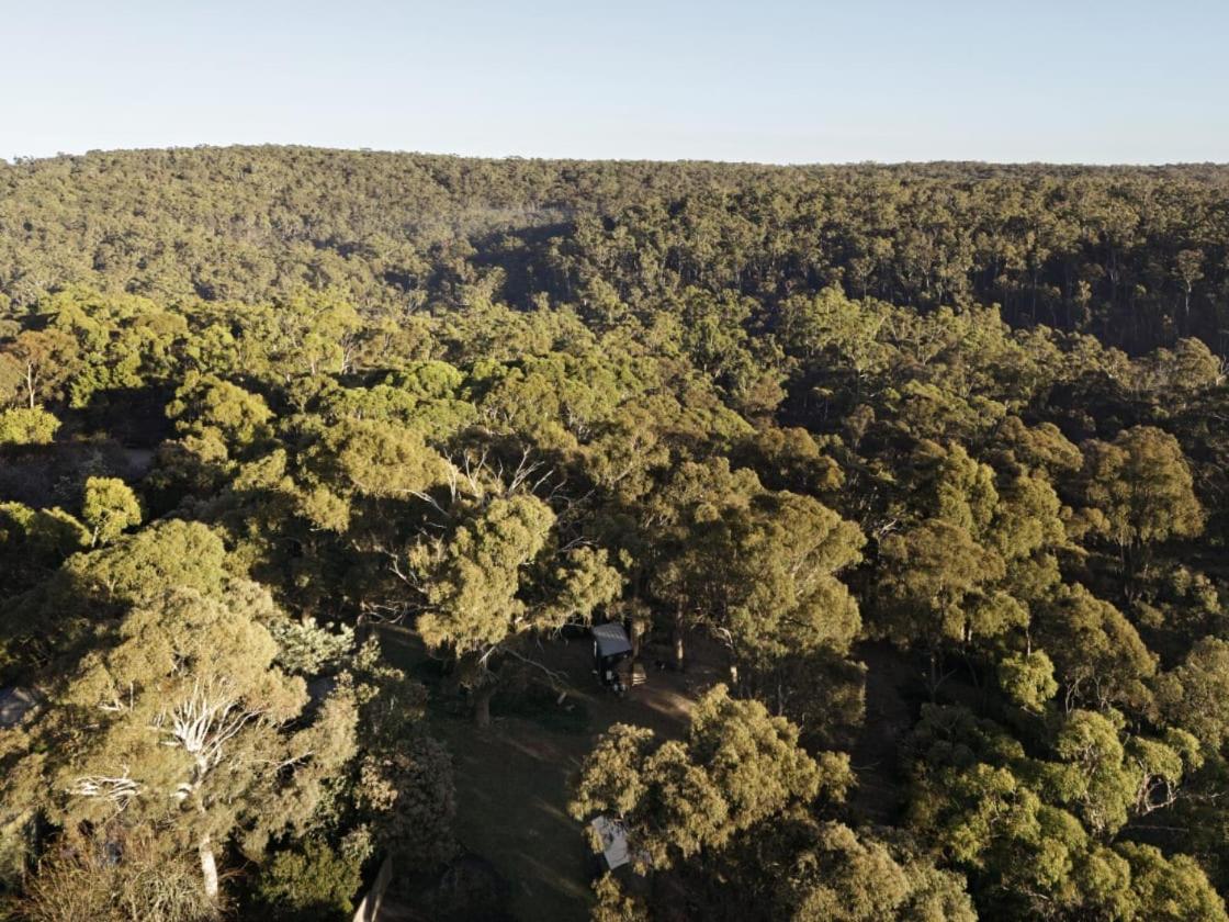Longmore Estate by Tiny Away