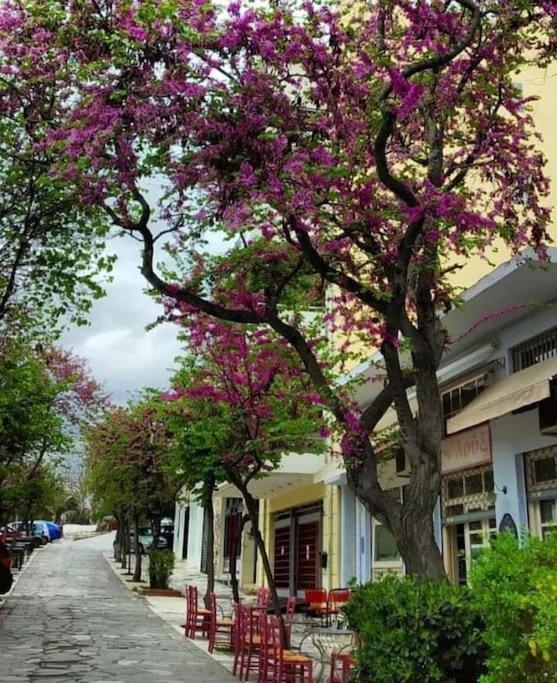 Bright colourful apartment city center