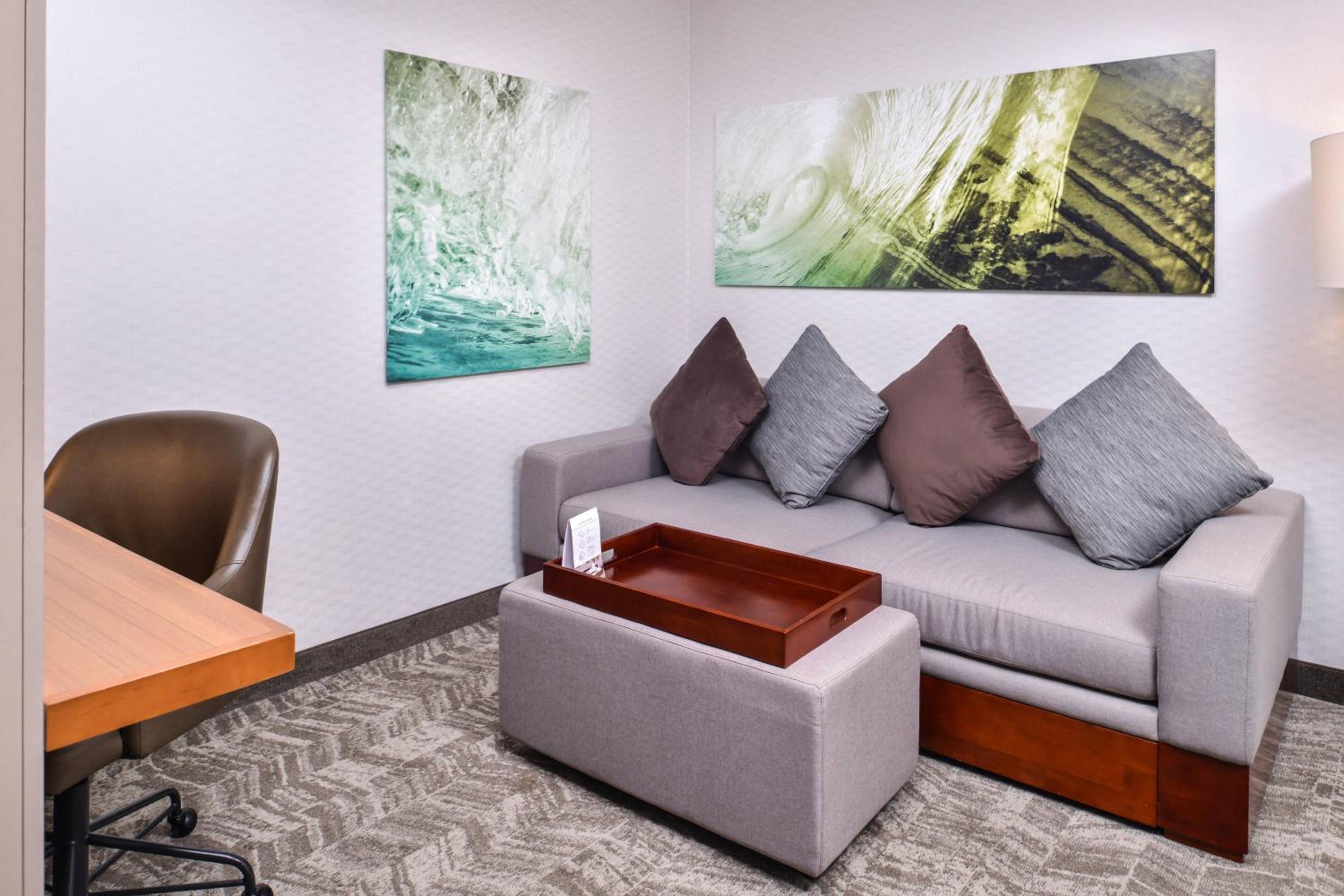 Temecula Vacations - SpringHill Suites Temecula Valley Wine Country - Property Image 37