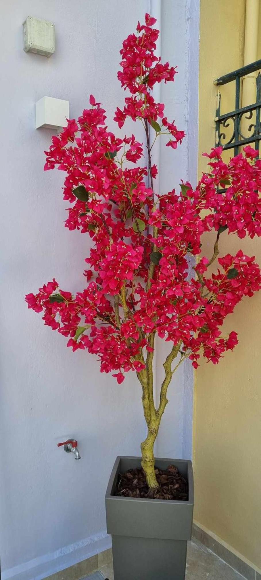 Fiore , 200m from central square