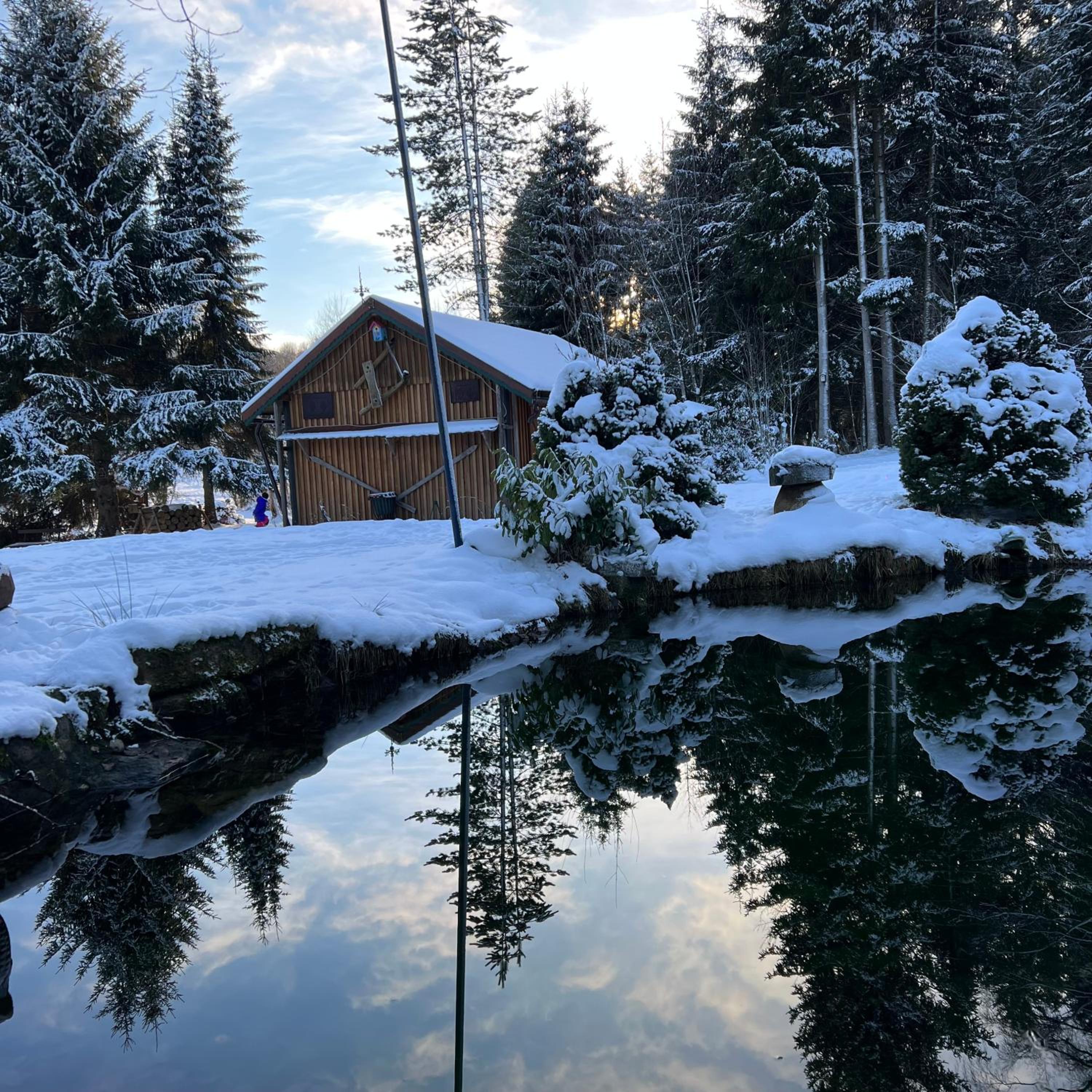 VILLA am Paulsberg mit Sauna - V4