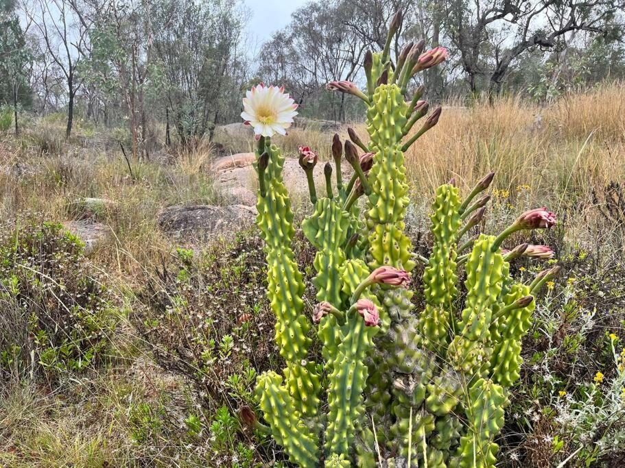 Granite Belt Majestic Retreat