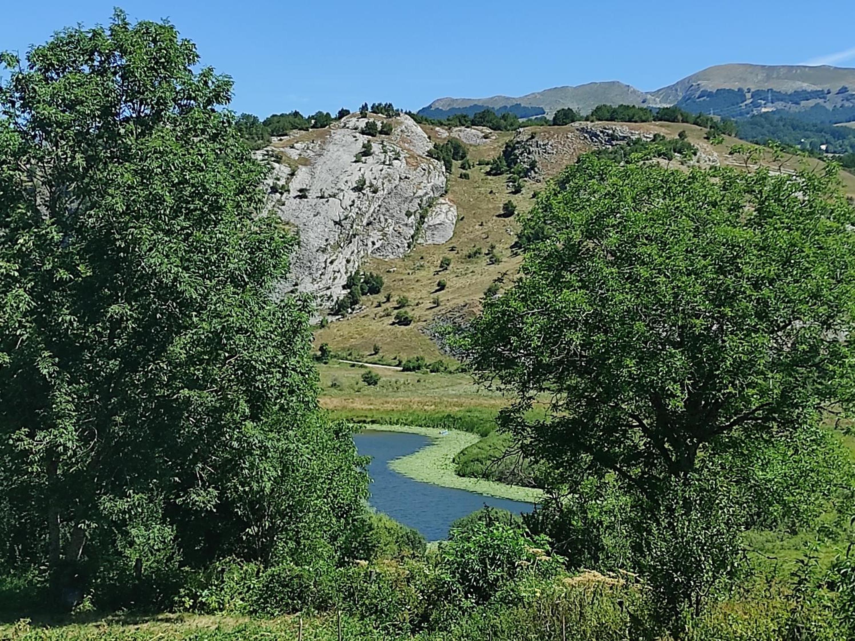Cottage Bellis view 2