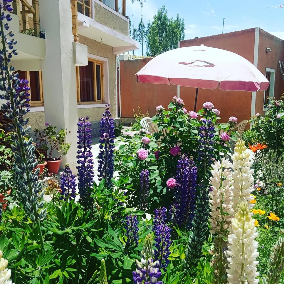 Moon Palace Homestay Ladakh by LexStays view 5