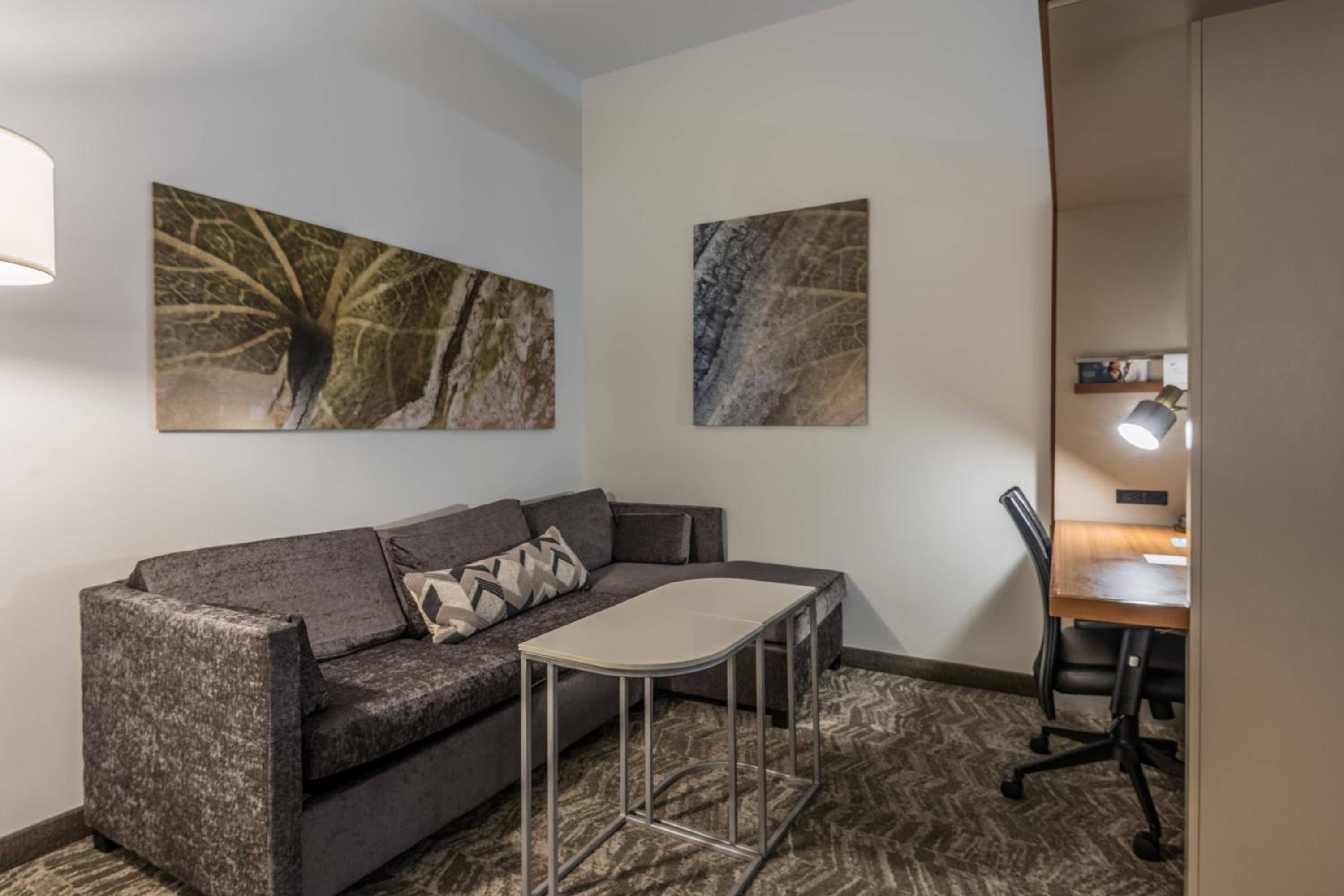 Statesboro Vacations - SpringHill Suites Statesboro University Area - Property Image 6