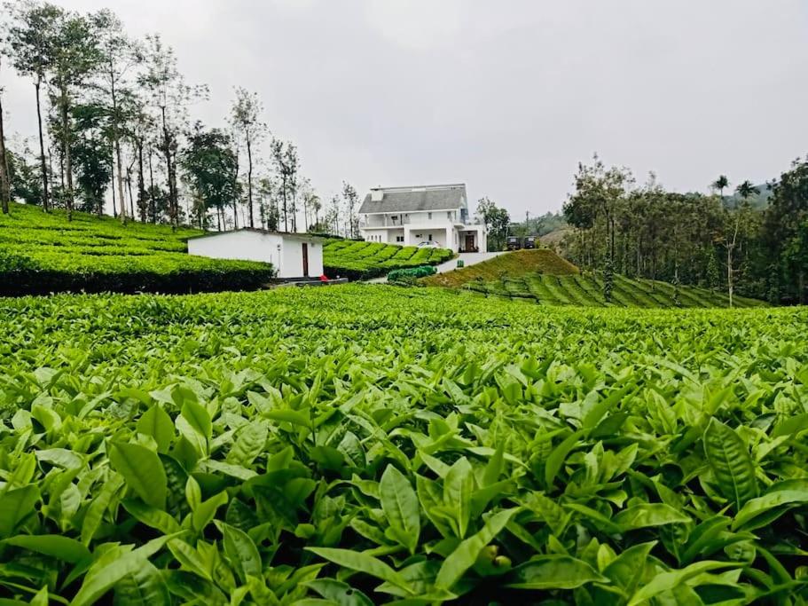 Jo and Fe Farmstay Vagamon