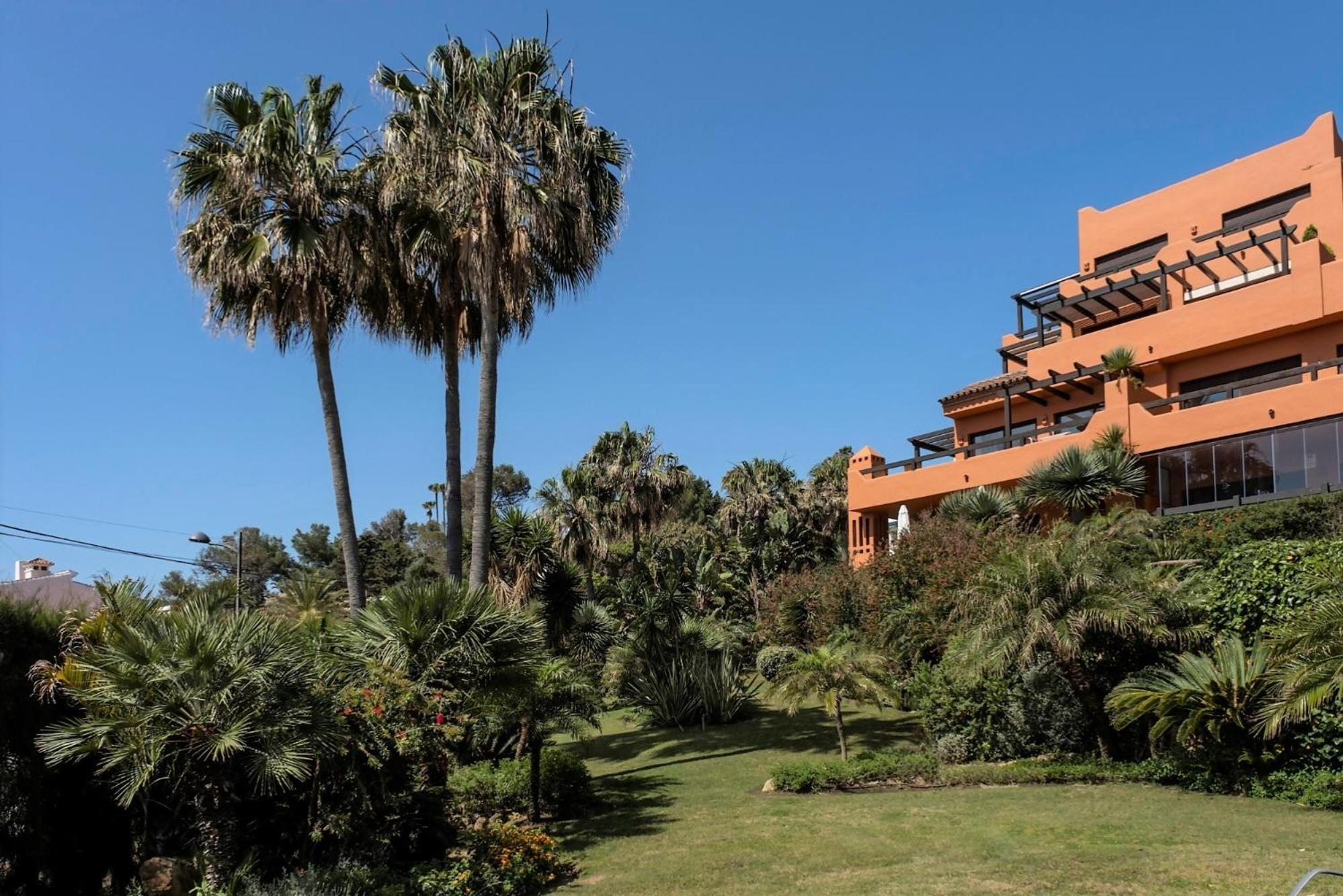 Bougainvillea Retreat, Espacioso Terraza & Parking photo 3