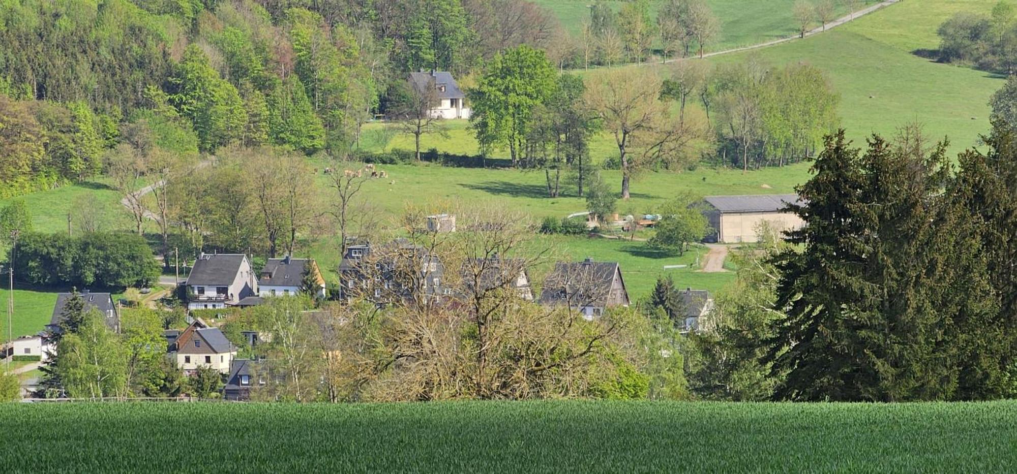 Ferienhaus-wurzbach
