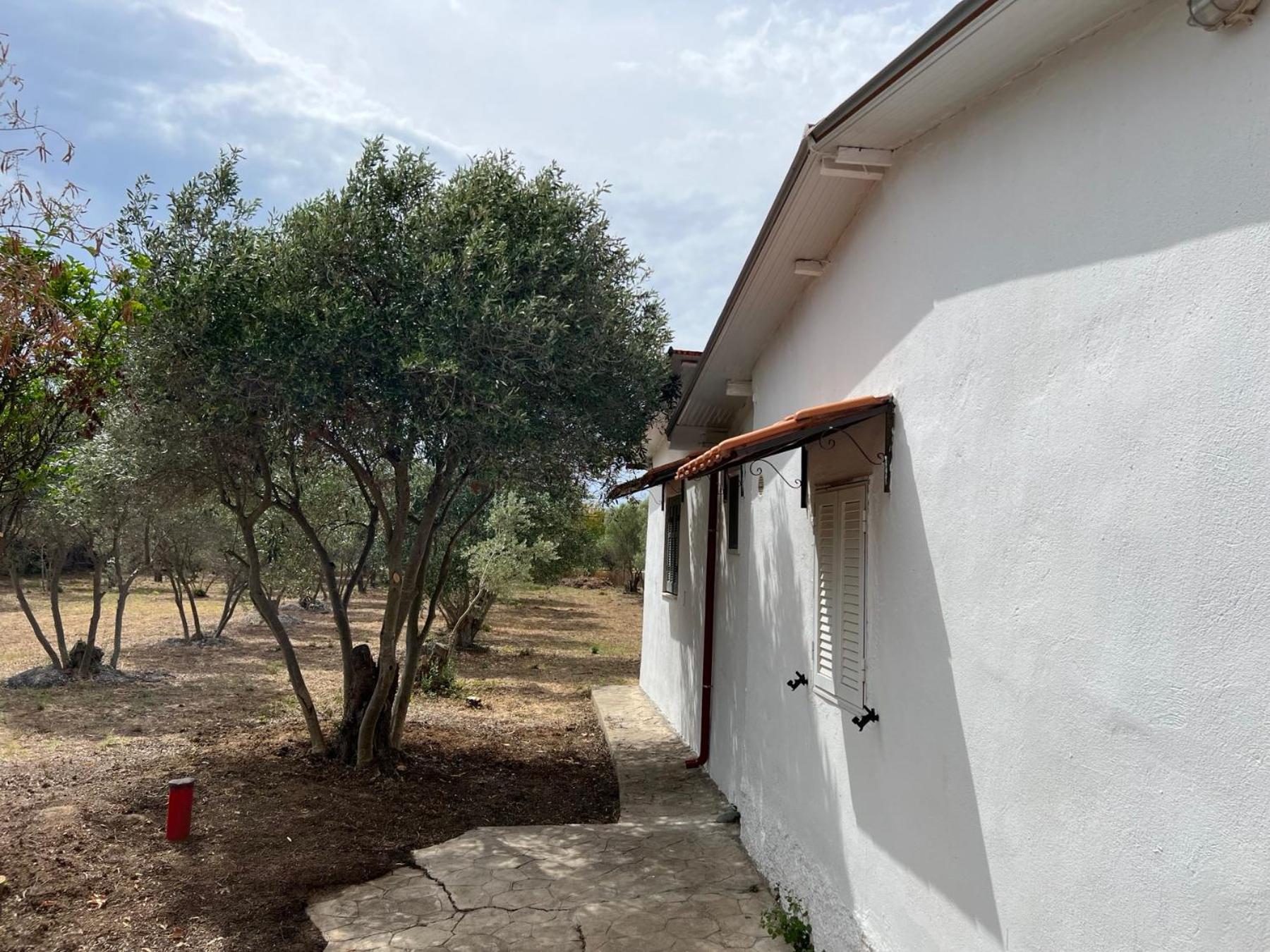 Maria's Summer House photo 1