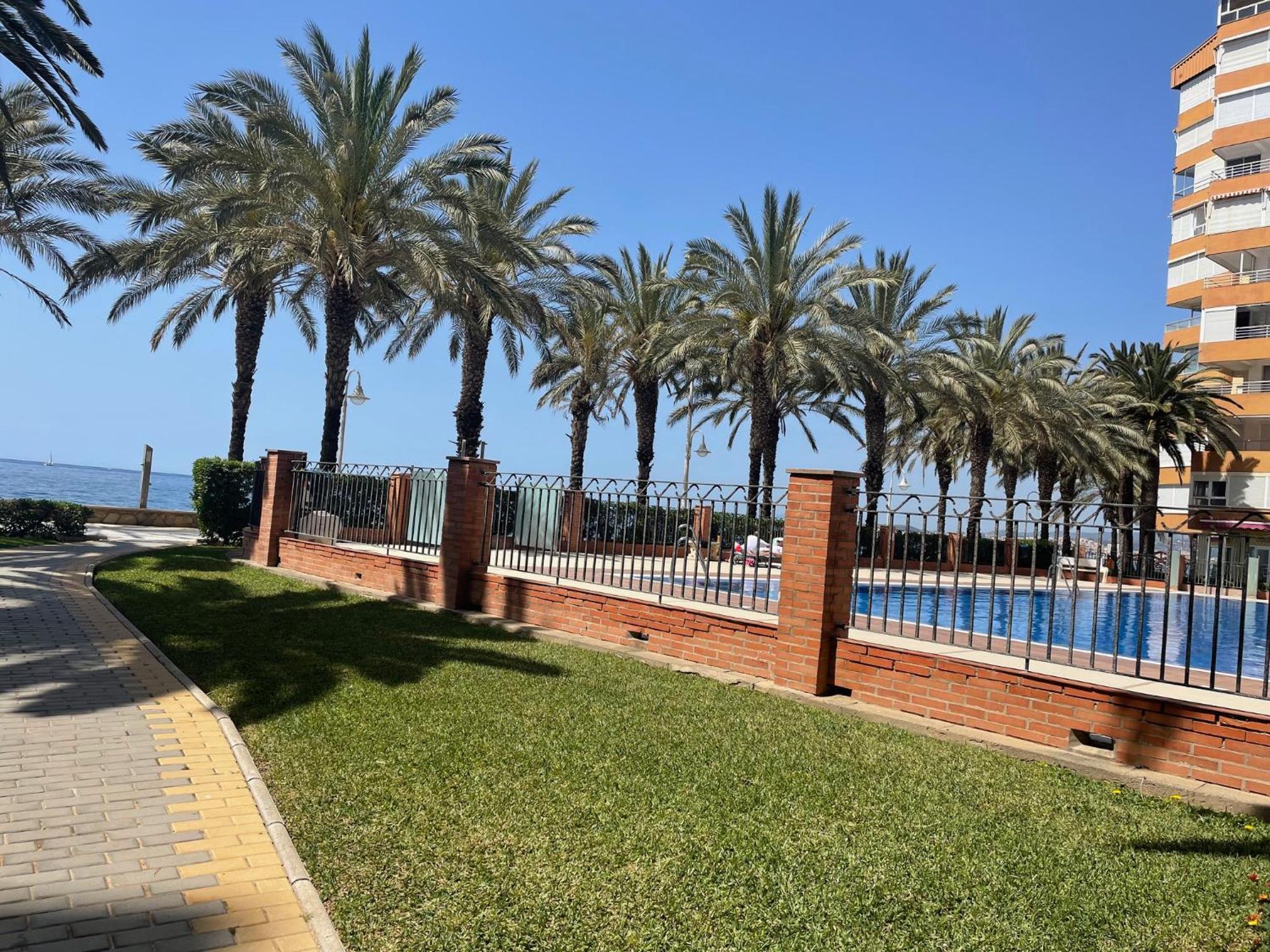 Estudio Algarrobo Costa en Centro Internacional