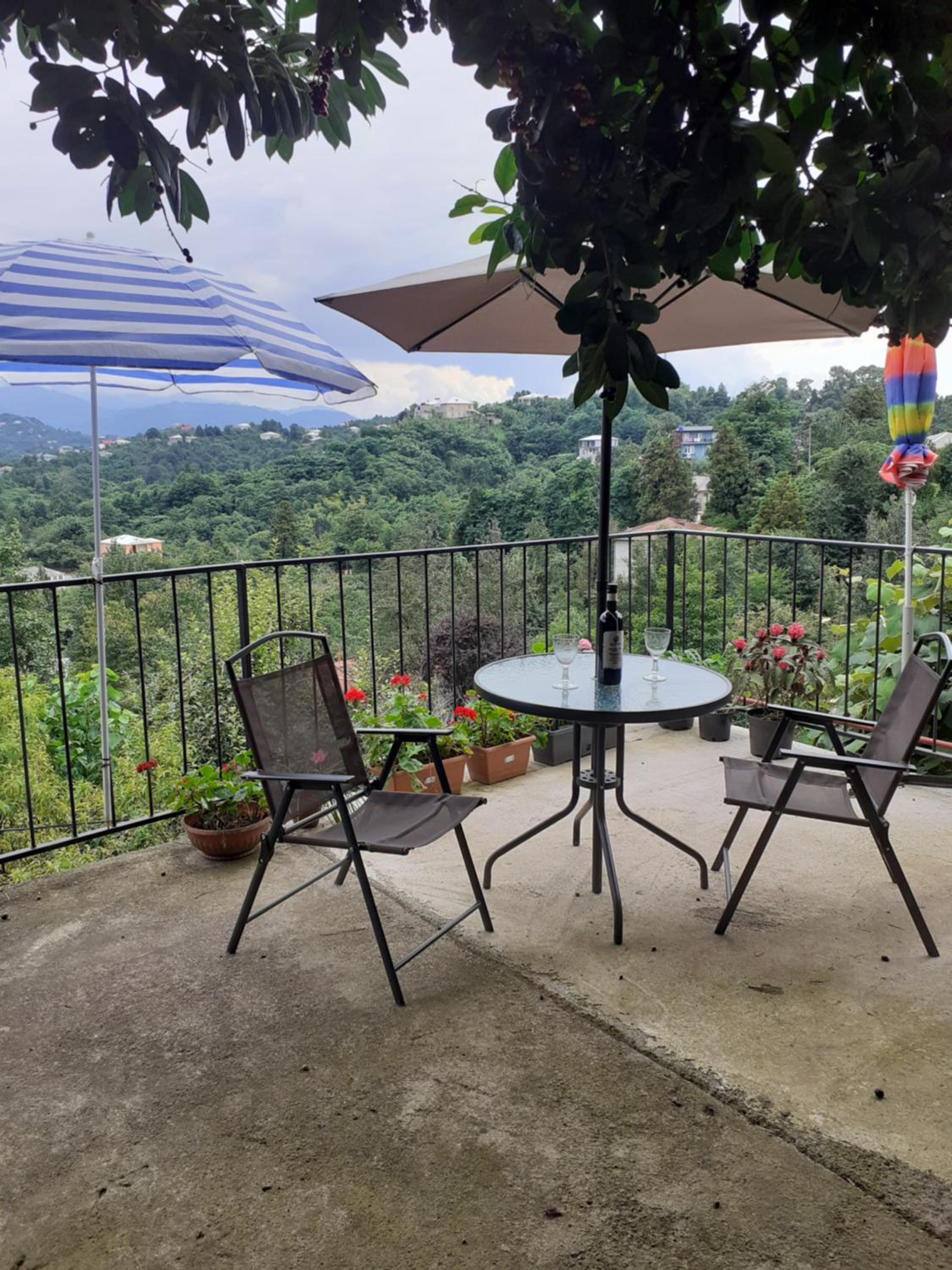 balance & terrace