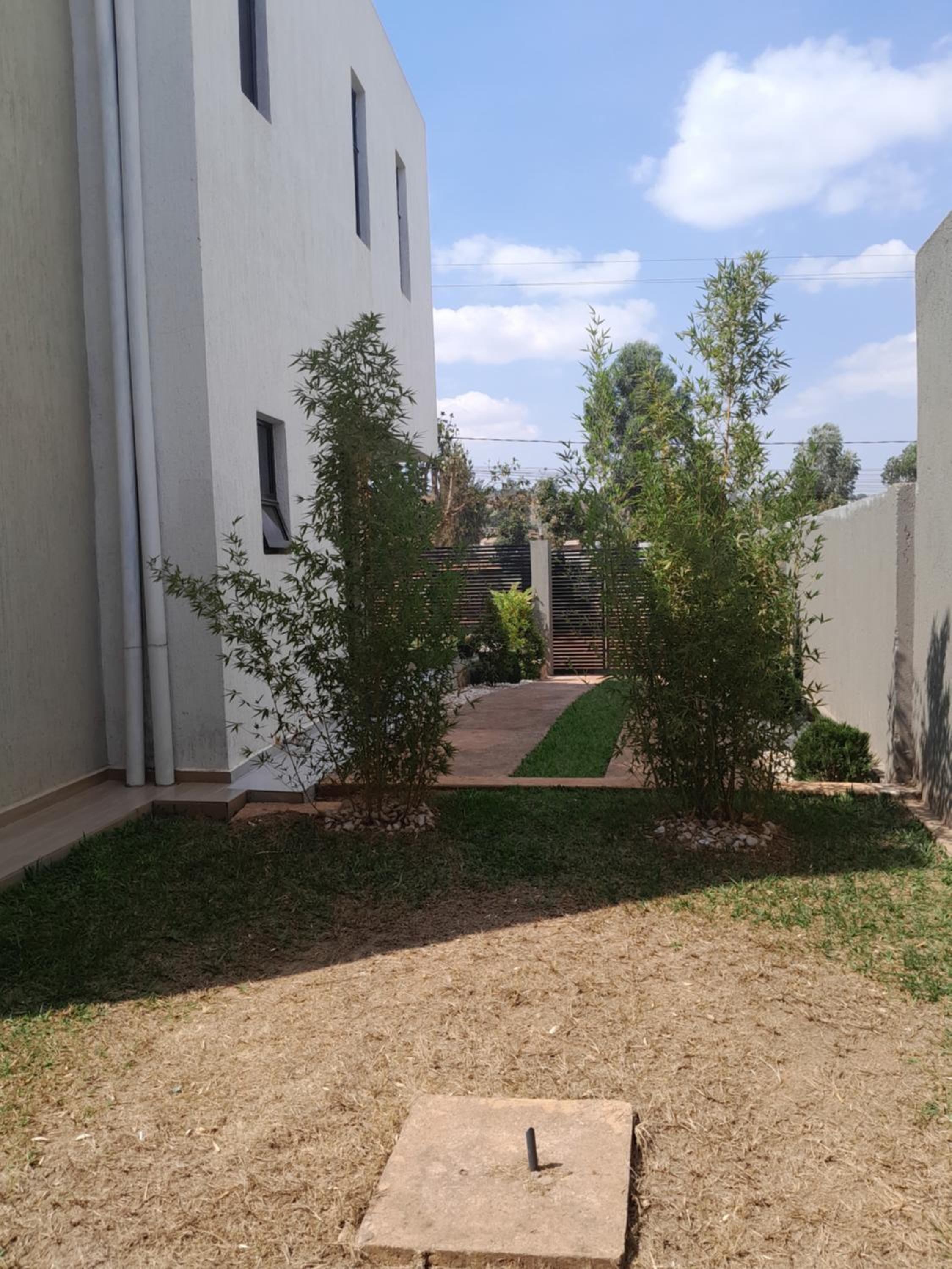 Photo 44