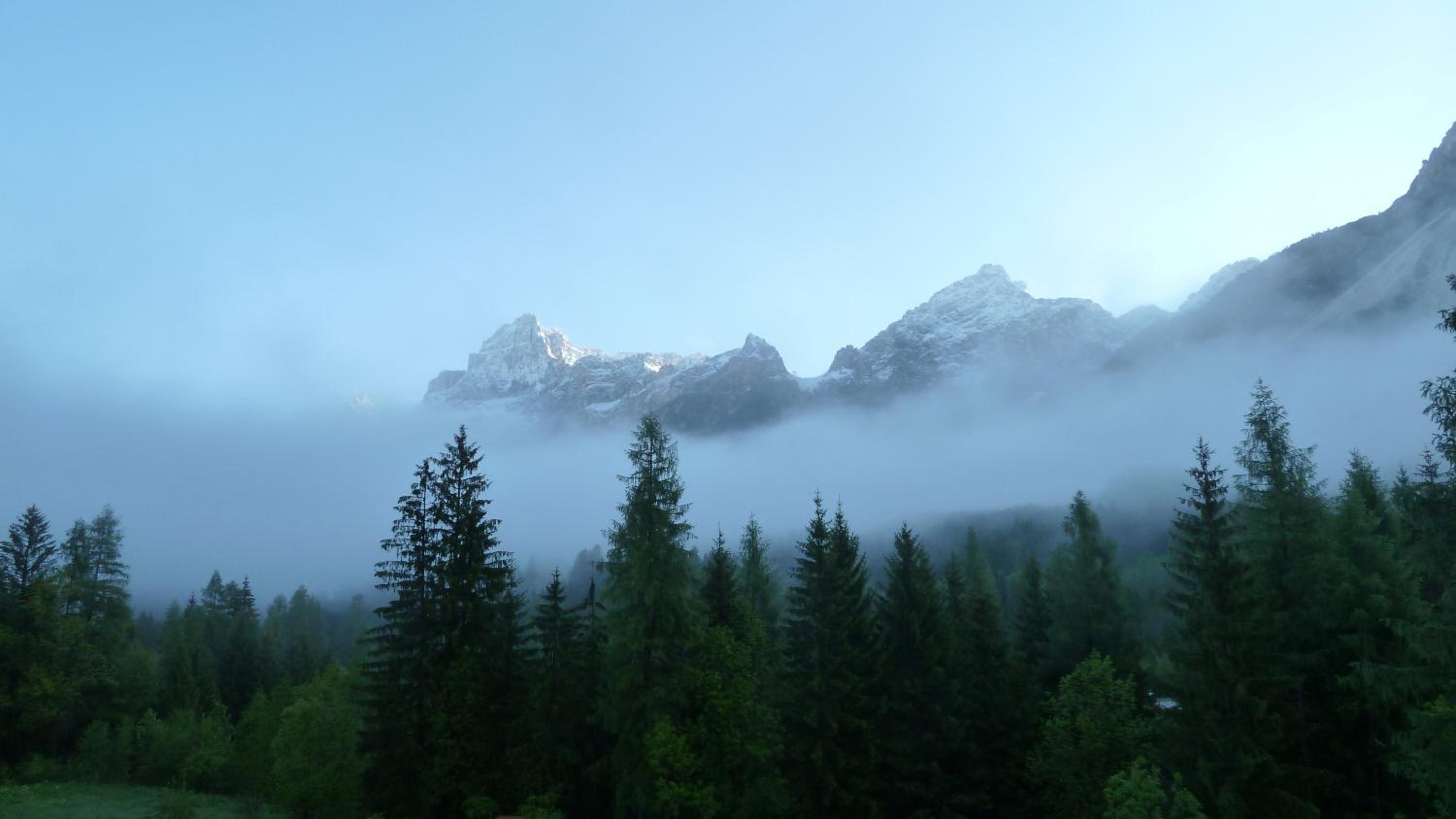 Photo 45