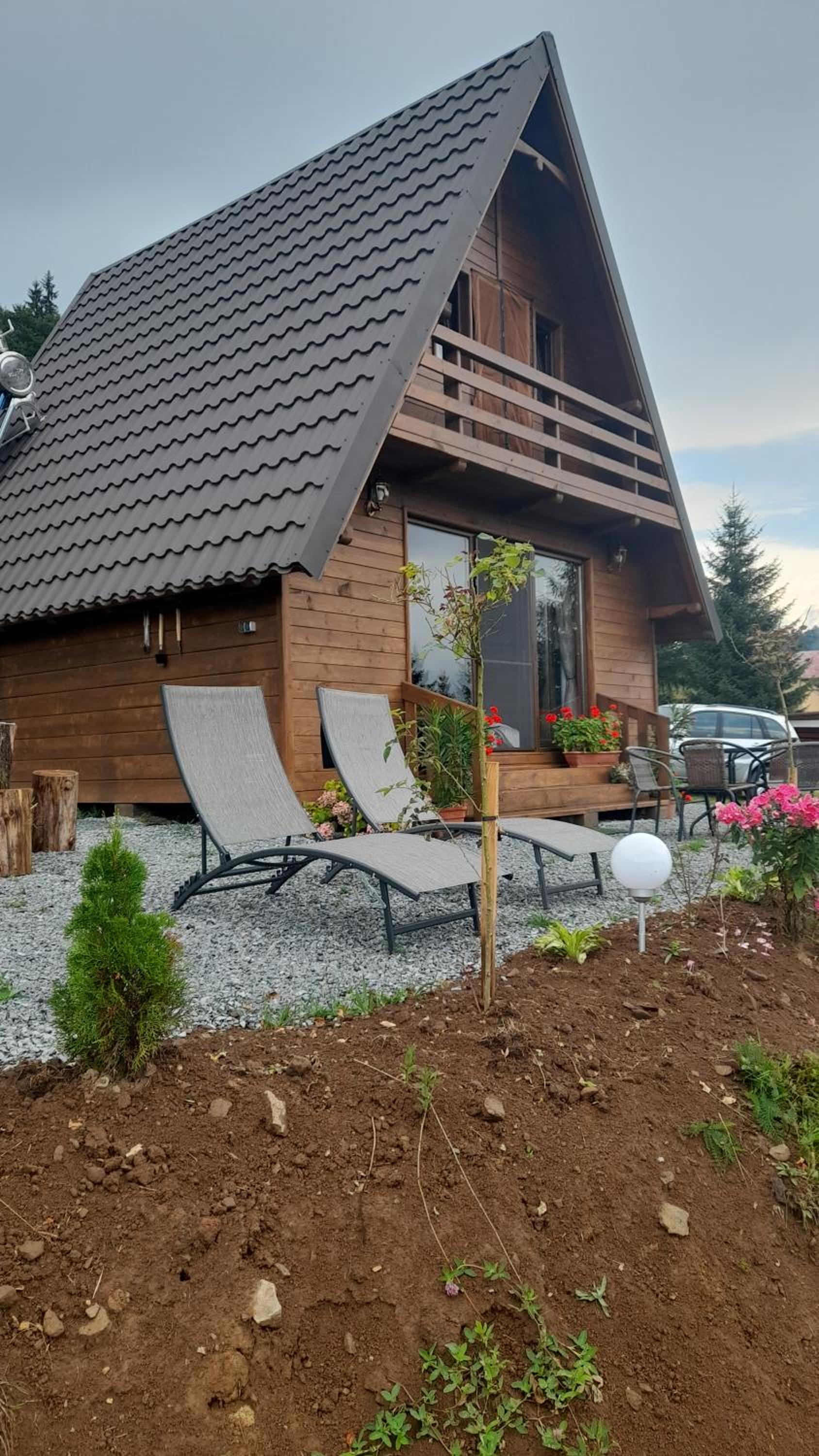 Căbănuța Busuioc Colibita view 5