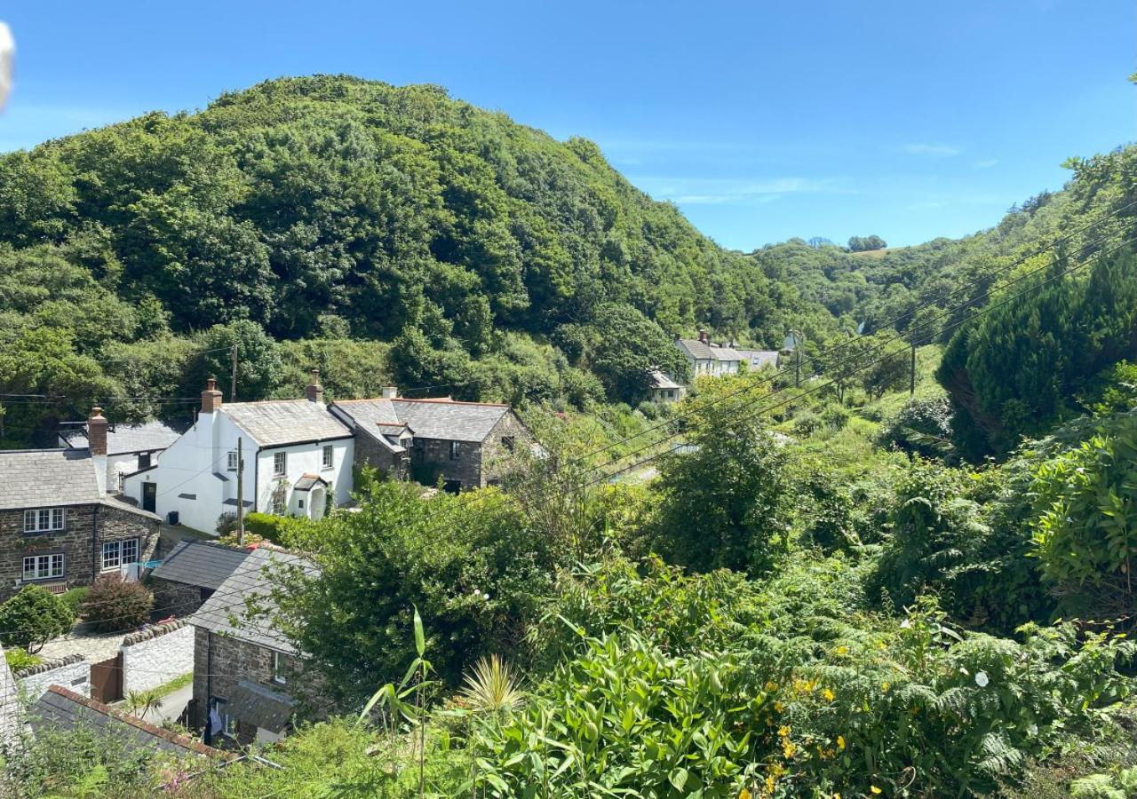 3 Bed in Bucks Mills oc-b29207