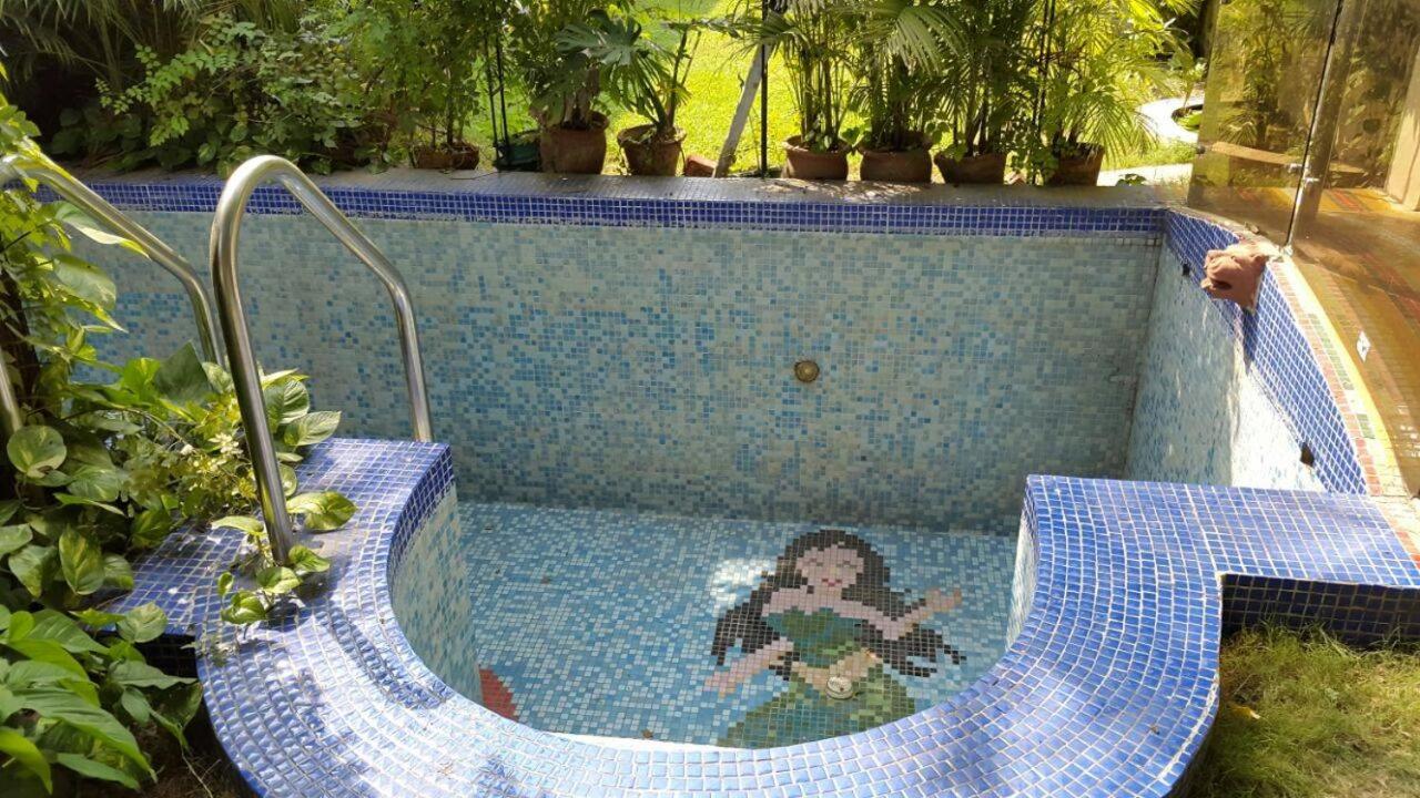Petite Homestays view 3