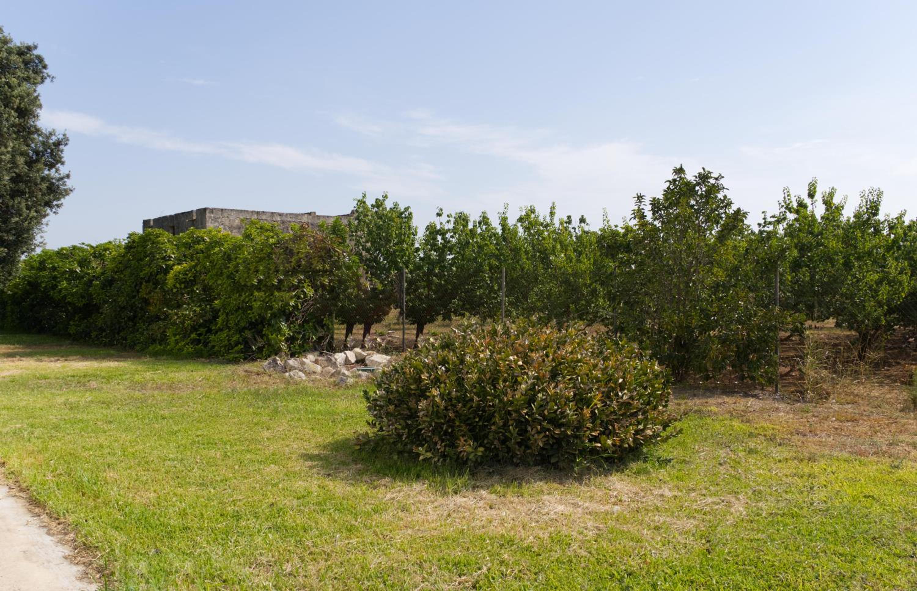 Villa Mondonuovo