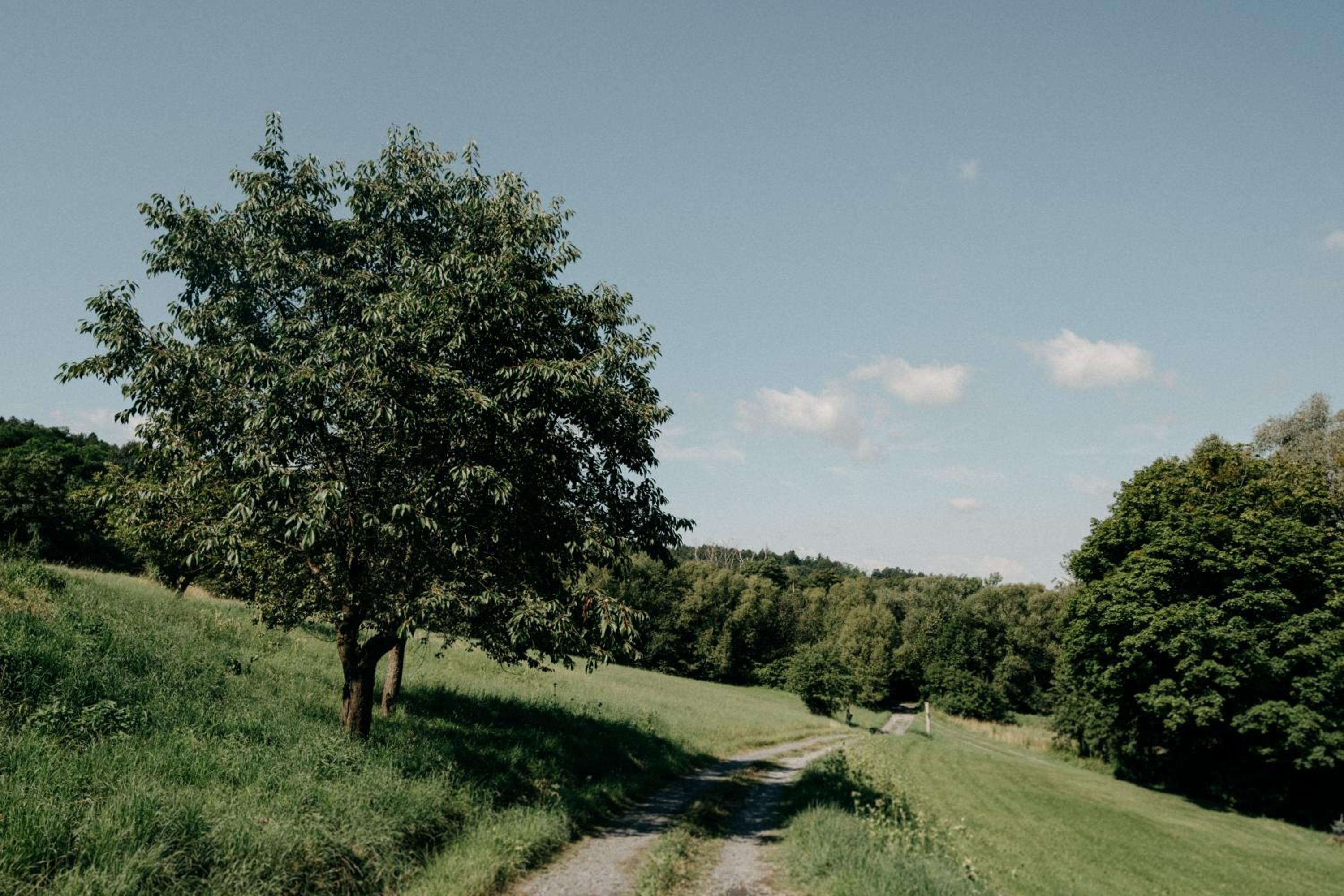 Kousek ráje