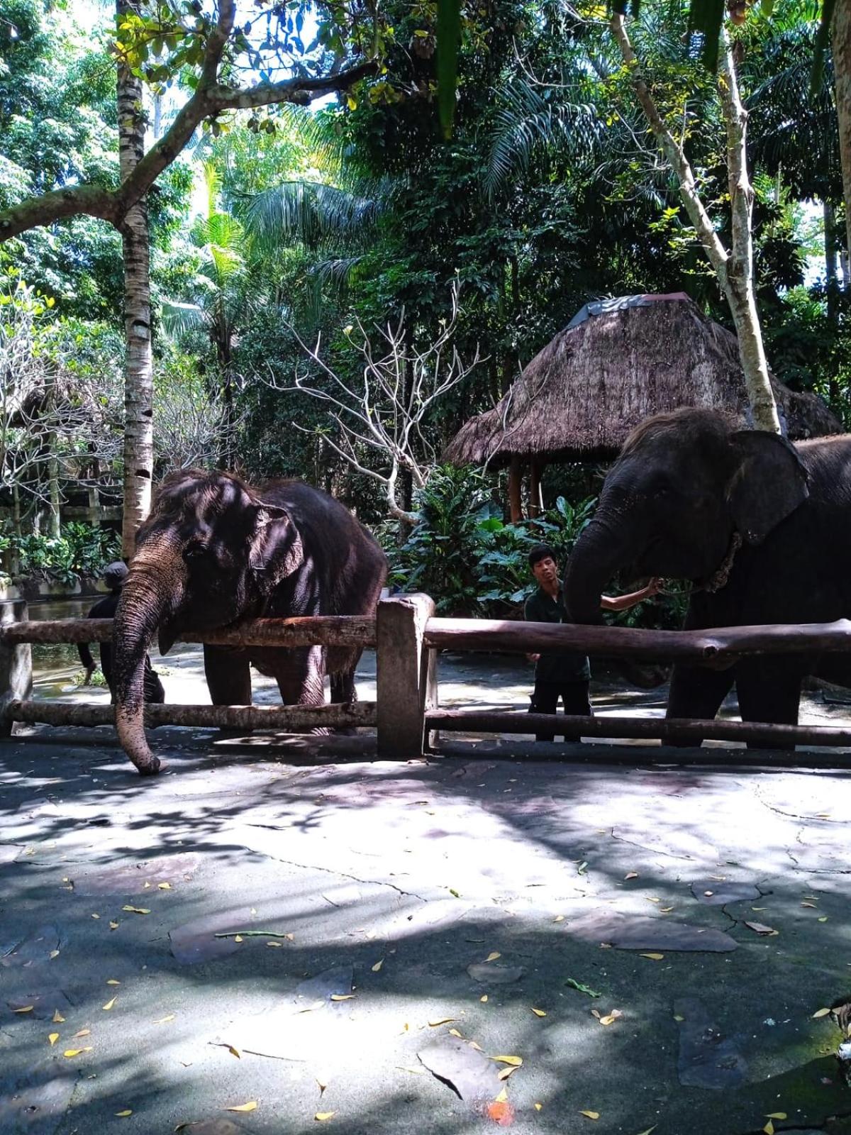 Hendi Homestay