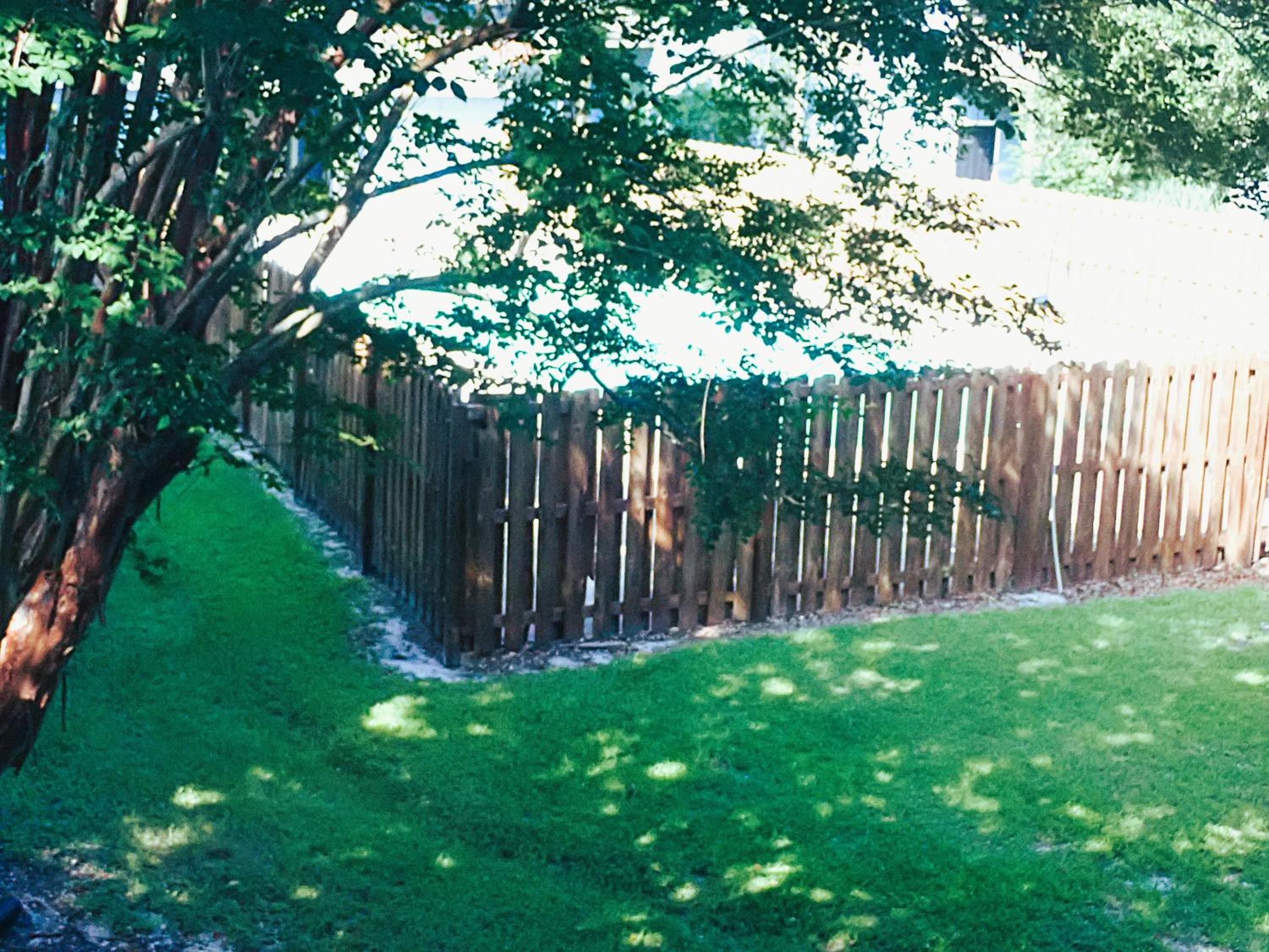 Photo 36